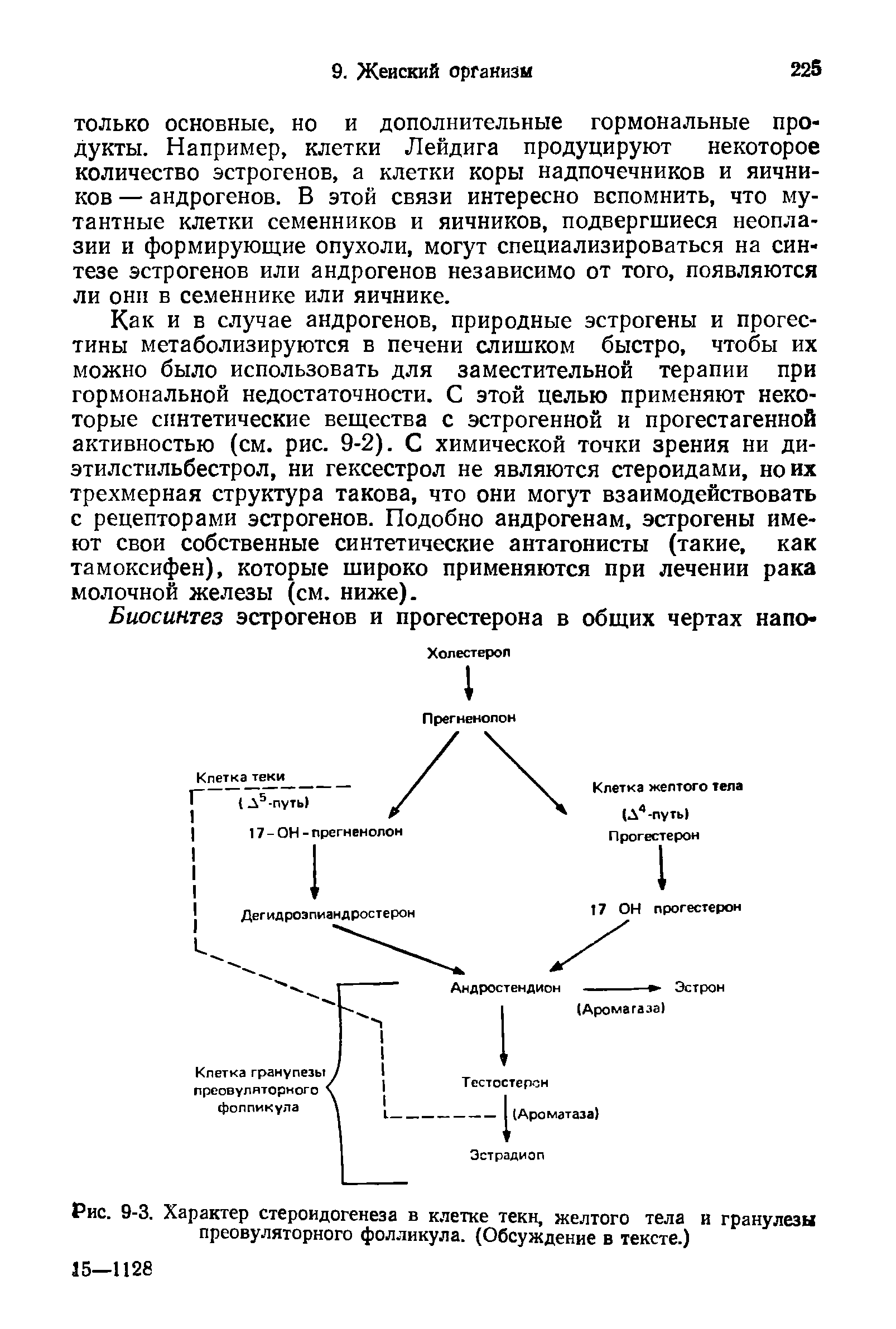 Рис. 9-3. Характер стероидогенеза в клетке теки, желтого тела и гранулезы преовуляторного фолликула. (Обсуждение в тексте.)...