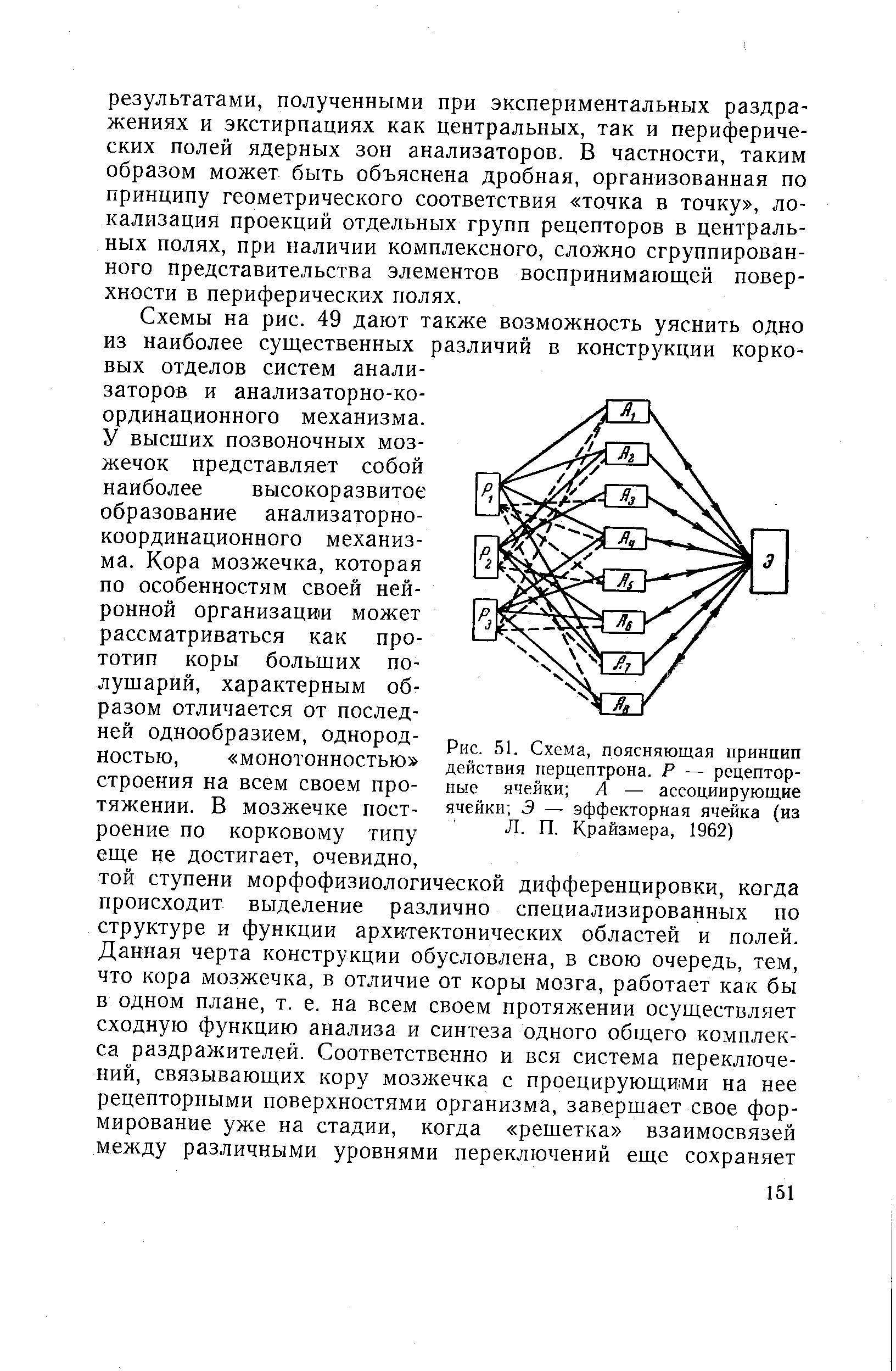 Рис. 51. Схема, поясняющая принцип действия перцептрона. Р — рецепторные ячейки А — ассоциирующие ячейки Э — эффекторная ячейка (из Л. П. Крайзмера, 1962)...