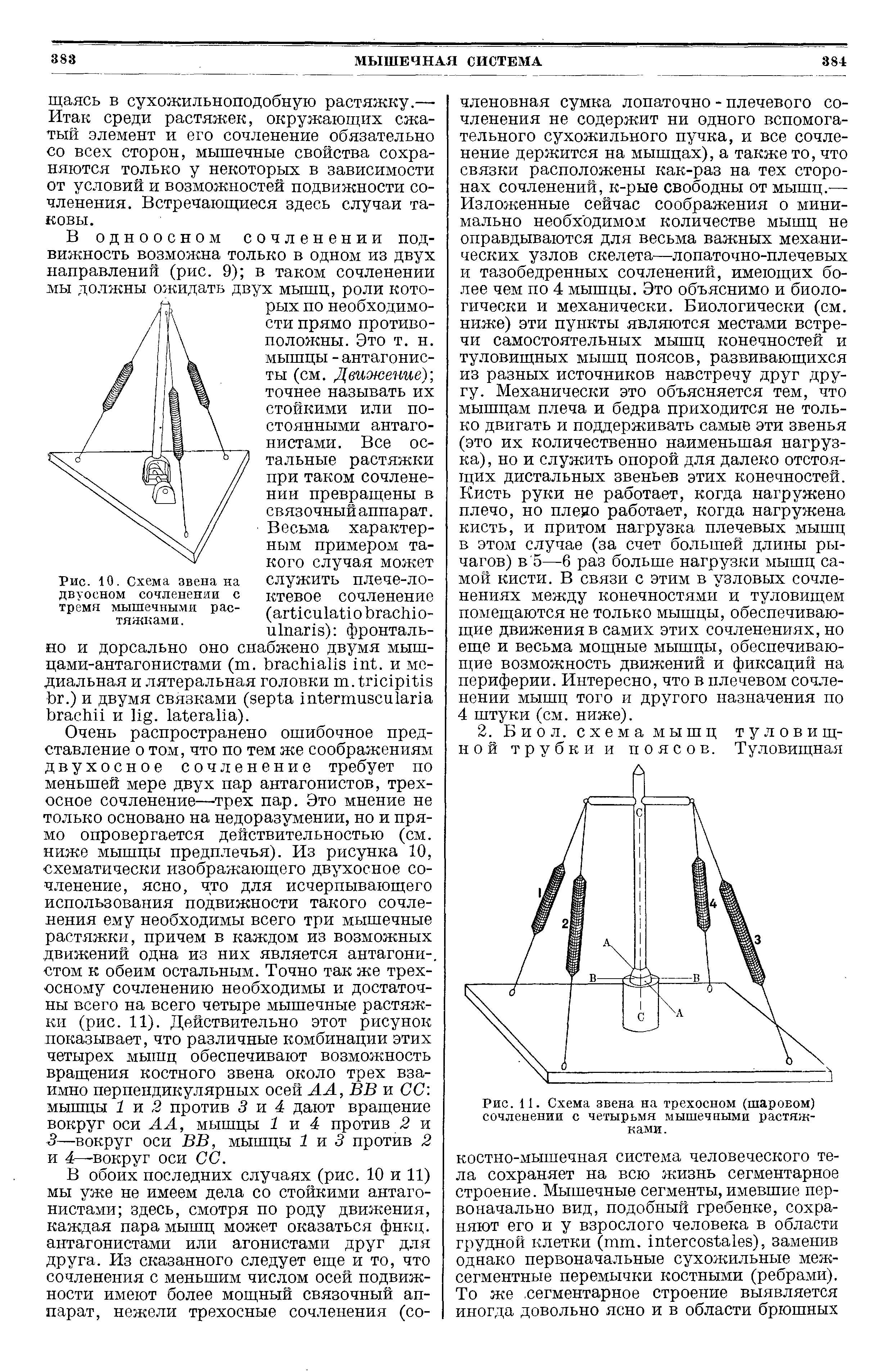 Рис. 11. Схема звена на трехосном (шаровом) сочленении с четырьмя мышечными растяжками.