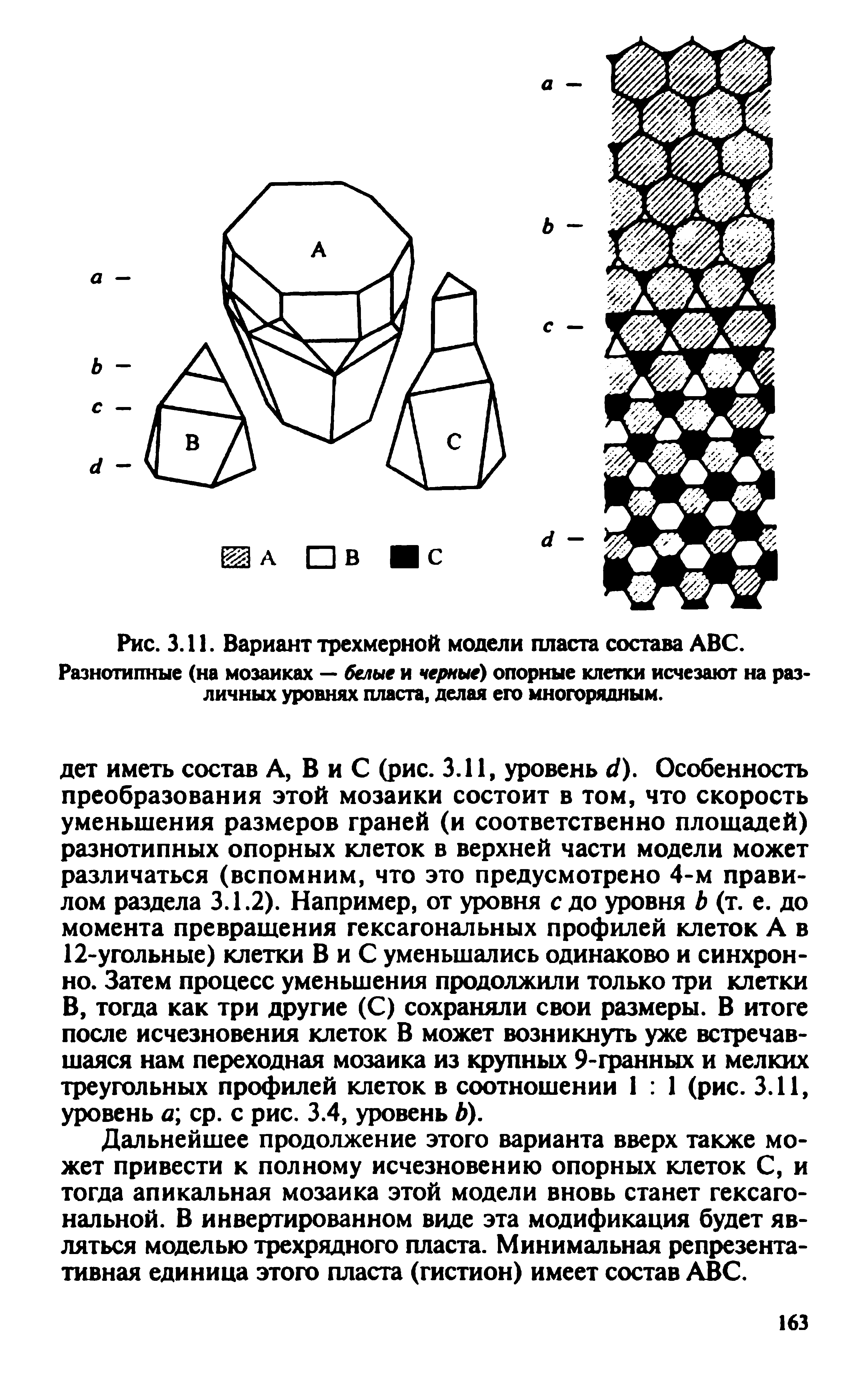 Рис. 3.11. Вариант трехмерной модели пласта состава АВС. Разнотипные (на мозаиках — белые и черные опорные клетки исчезают на различных уровнях пласта, делая его многорядным.