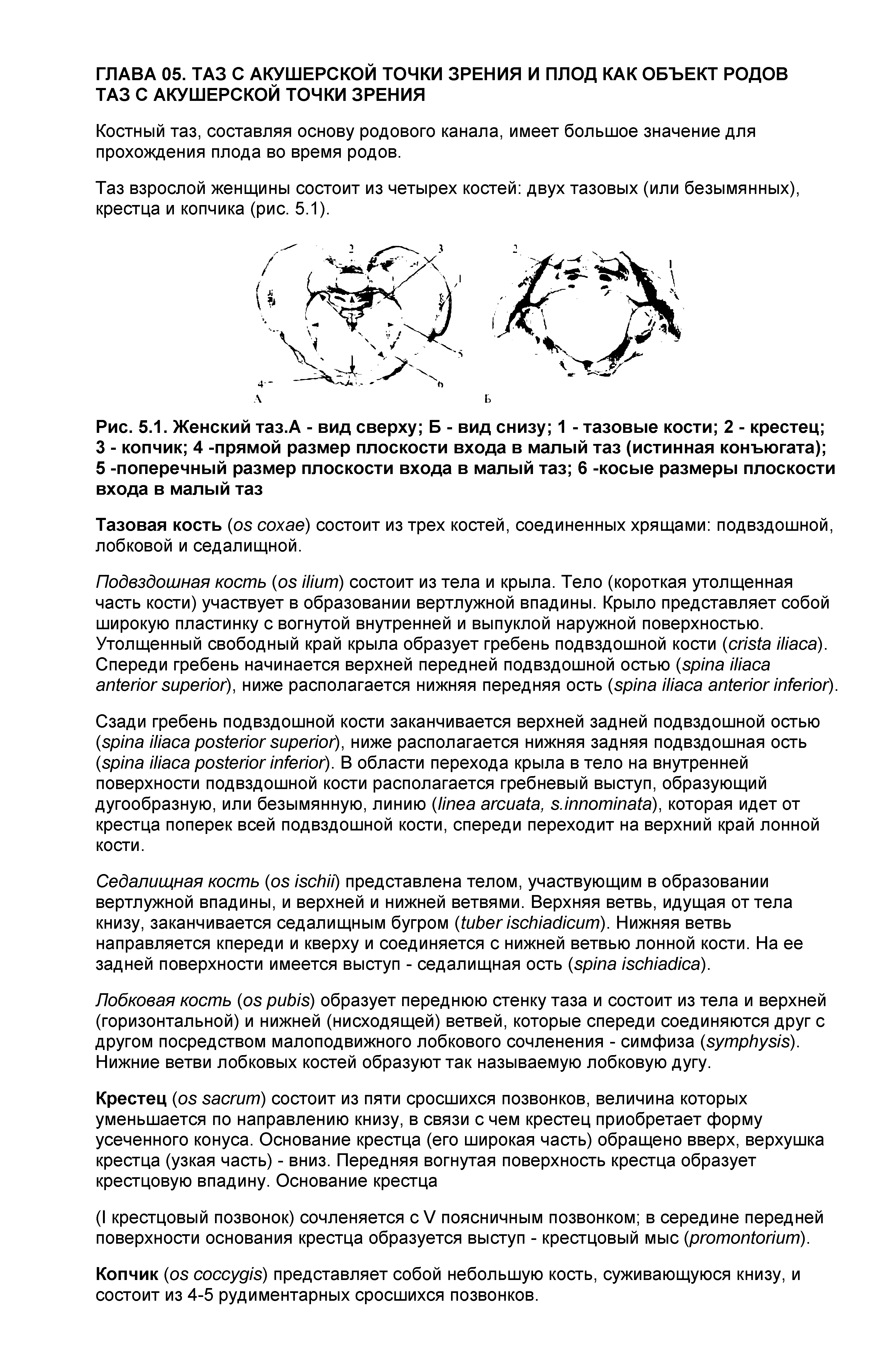 Рис. 5.1. Женский таз.А - вид сверху Б - вид снизу 1 - тазовые кости 2 - крестец 3 - копчик 4 -прямой размер плоскости входа в малый таз (истинная конъюгата) ...