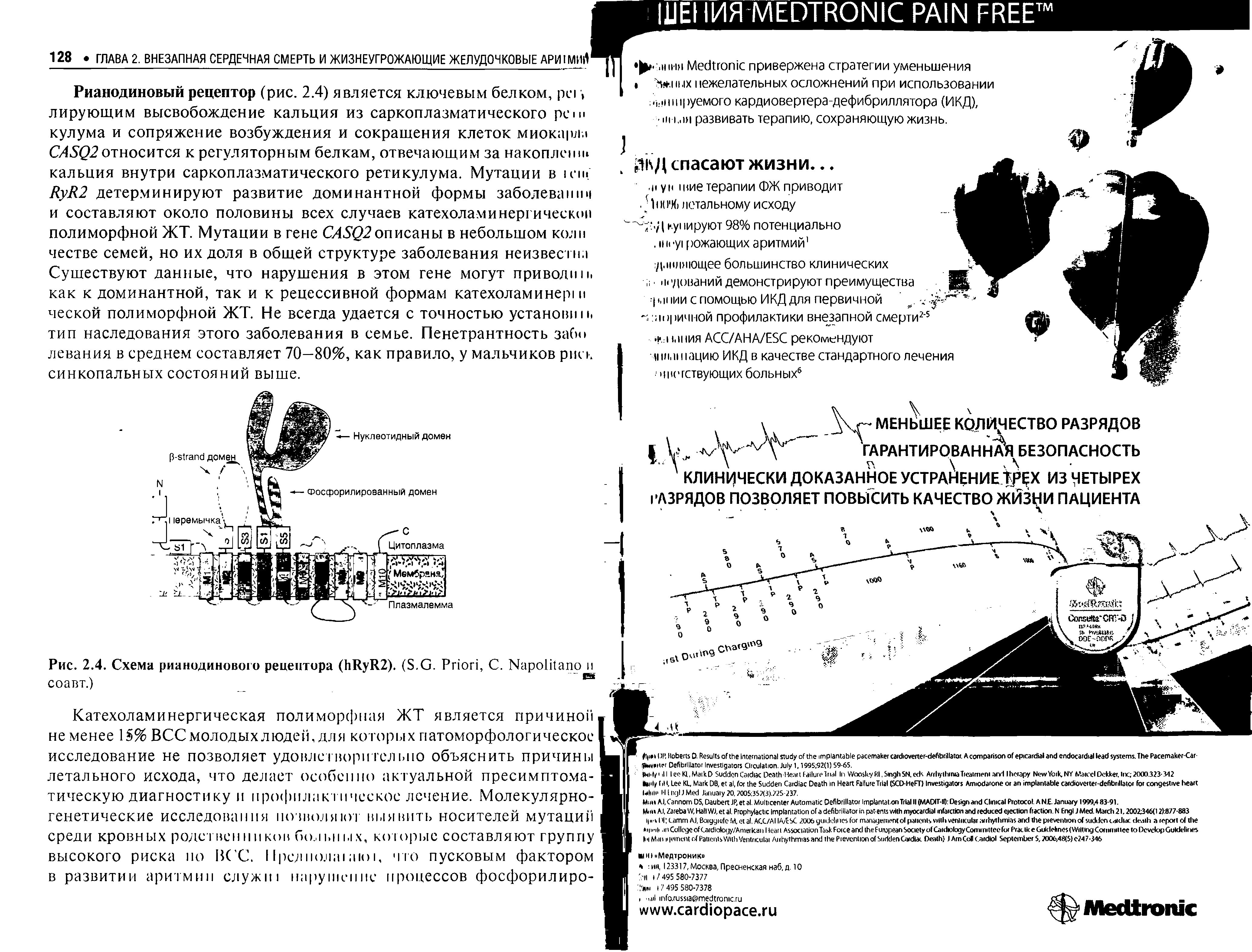 Рис. 2.4. Схема рианодинового рецептора ( R R2). (S.G. P , С. N и соавт.) в...