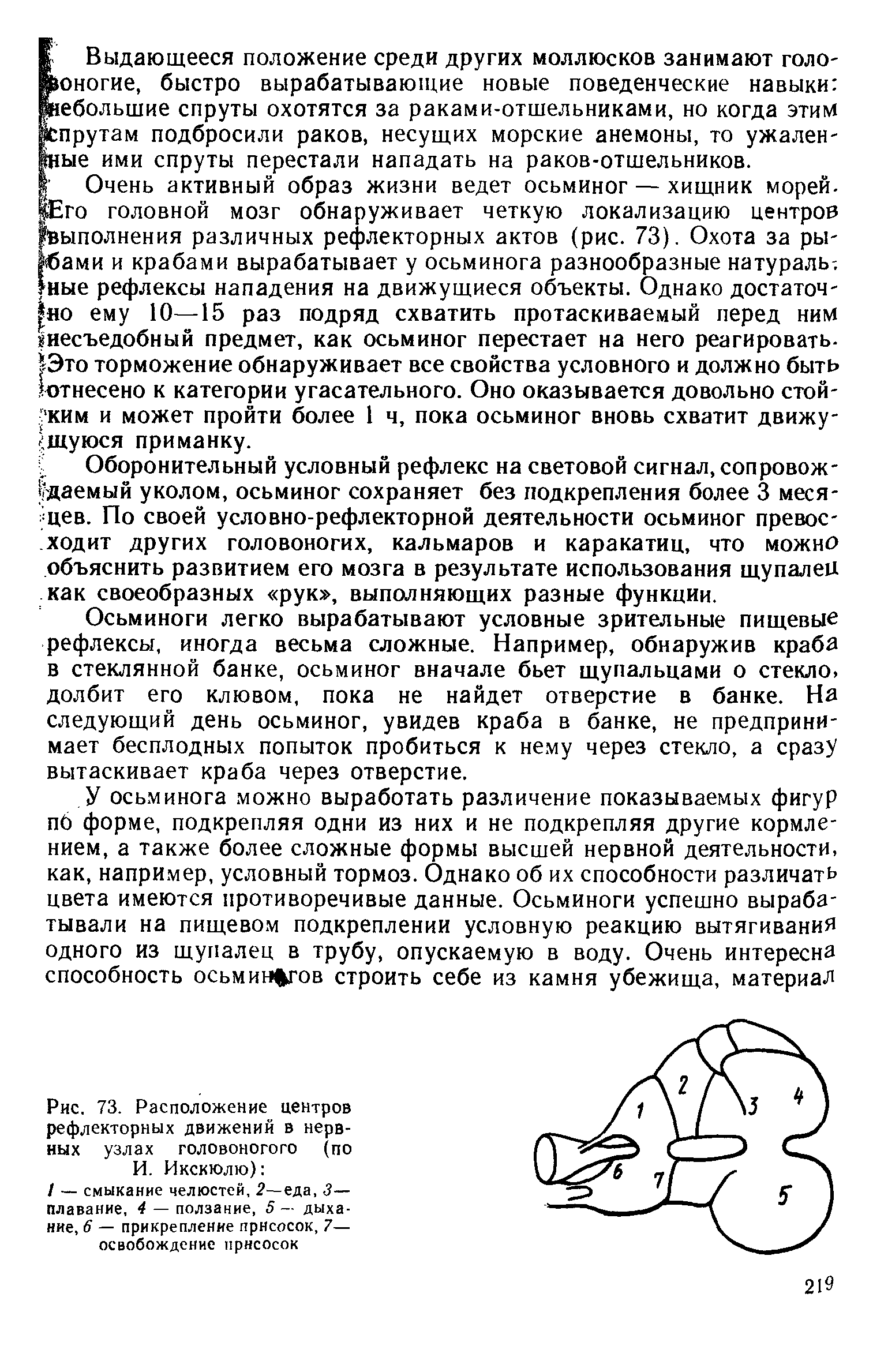 Рис. 73. Расположение центров рефлекторных движений в нервных узлах головоногого (по И. Икскюлю) ...