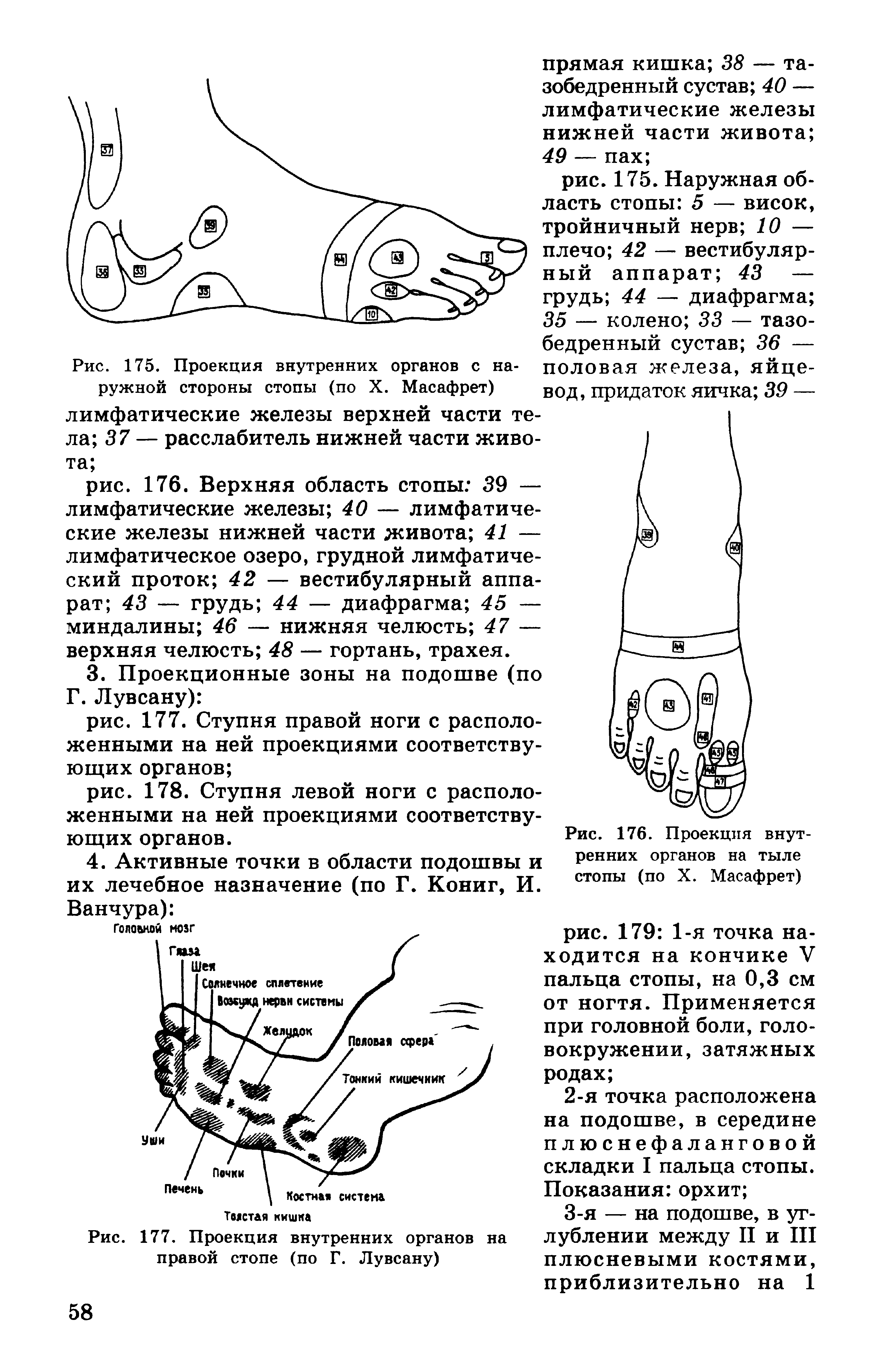 Рис. 175. Проекция внутренних органов с наружной стороны стопы (по X. Масафрет) лимфатические железы верхней части тела 37 — расслабитель нижней части живота ...