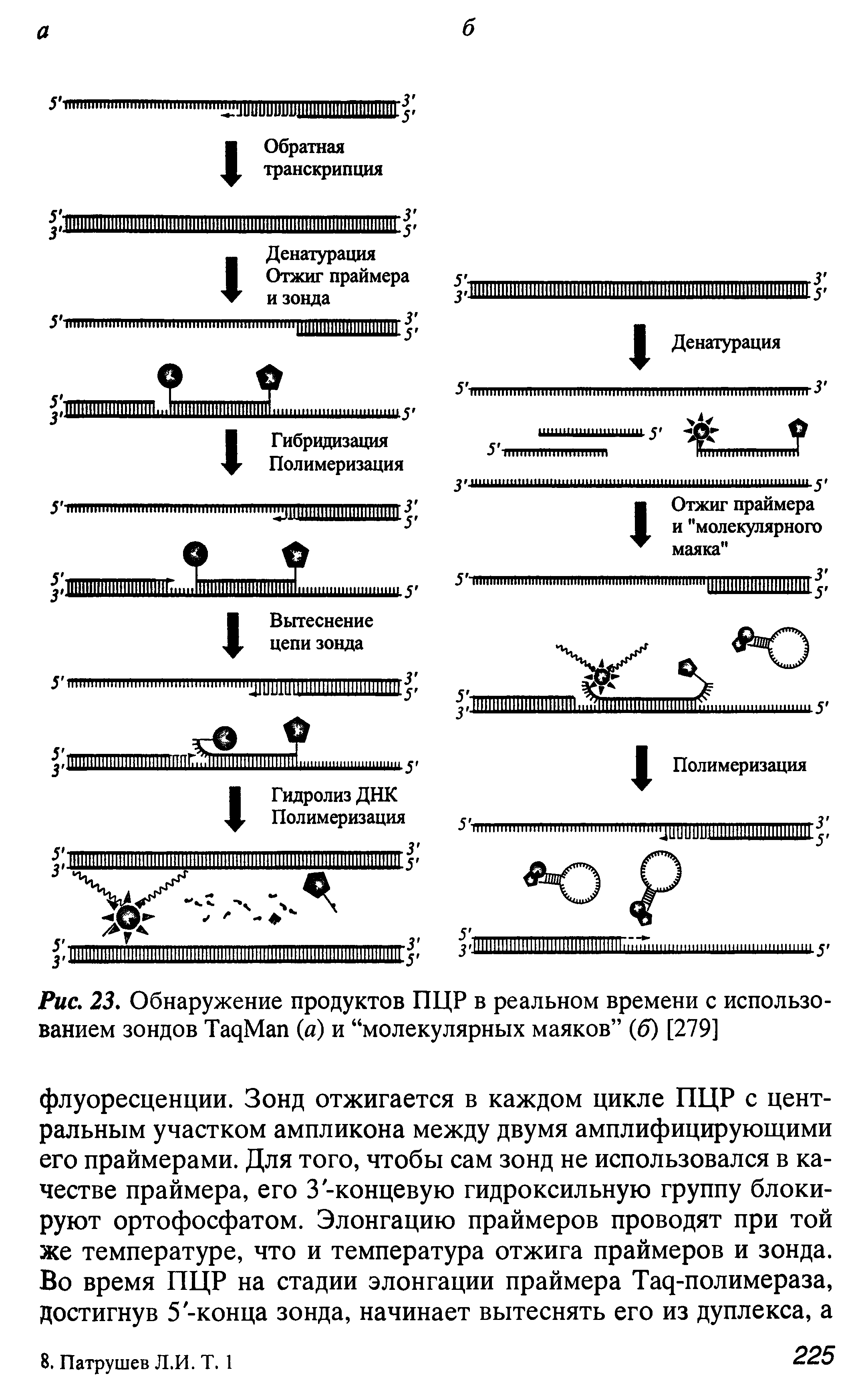 Рис. 23. Обнаружение продуктов ПЦР в реальном времени с использованием зондов ТадМап (а) и молекулярных маяков (5) [279]...