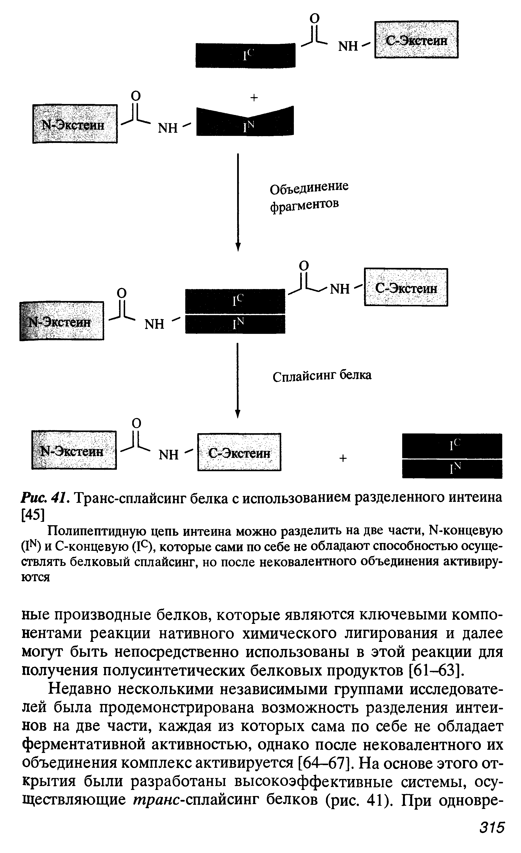 Рис. 41. Транс-сплайсинг белка с использованием разделенного интеина [45]...