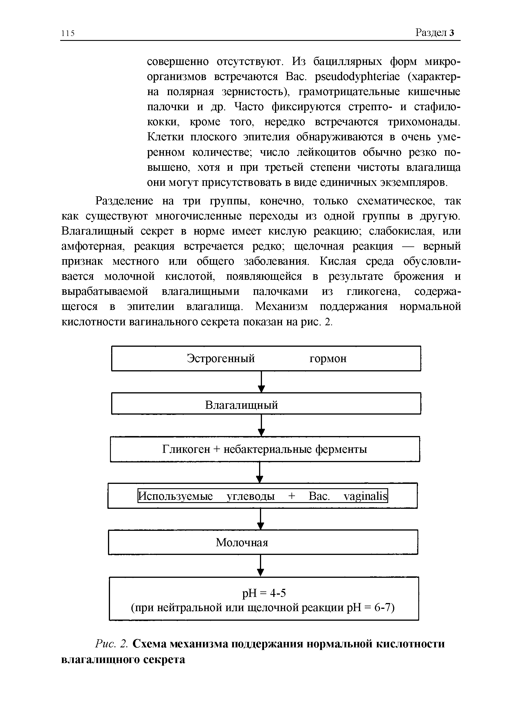 Рис. 2. Схема механизма поддержания нормальной кислотности влагалищного секрета...