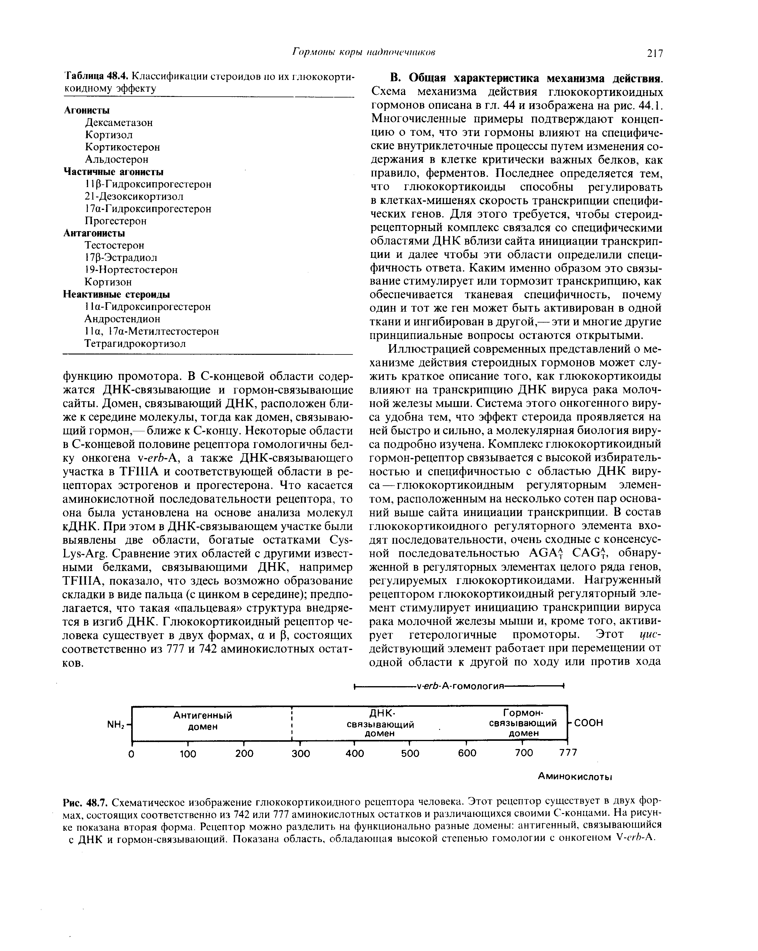 Рис. 48.7. Схематическое изображение глюкокортикоидного рецептора человека. Этот рецептор существует в двух формах, состоящих соответственно из 742 или аминокислотных остатков и различающихся своими С-концами. На рисунке показана вторая форма. Рецептор можно разделить на функционально разные домены антигенный, связывающийся с ДНК и гормон-связывающий. Показан а область, обладающая высокой степенью гомологии с онкогеном - -X.