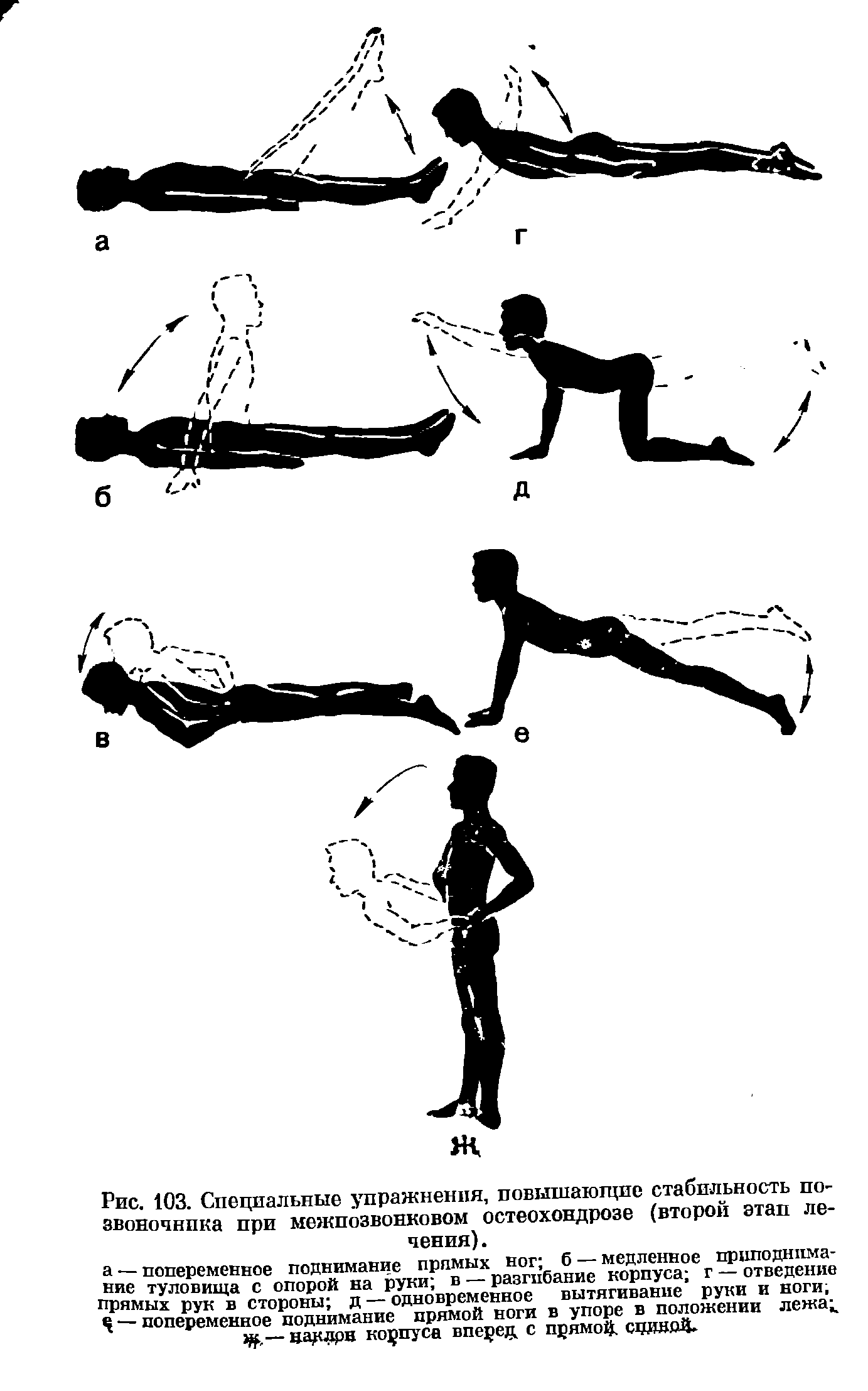 Рис. 103. Специальные упражнения, повышающие стабильность позвоночника при межпозвонковом остеохондрозе (второй этап лечения). ...