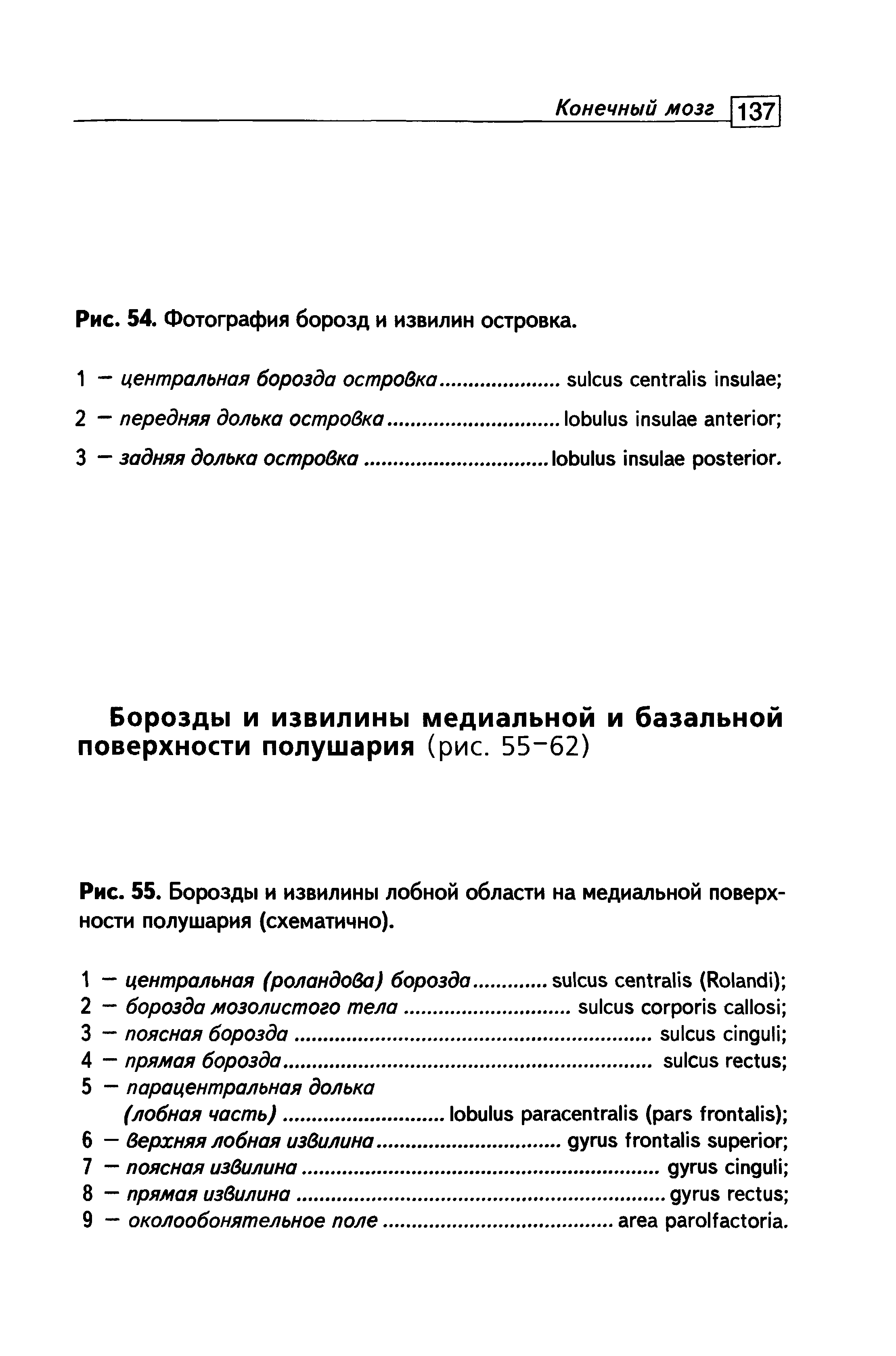 Рис. 55. Борозды и извилины лобной области на медиальной поверхности полушария (схематично).