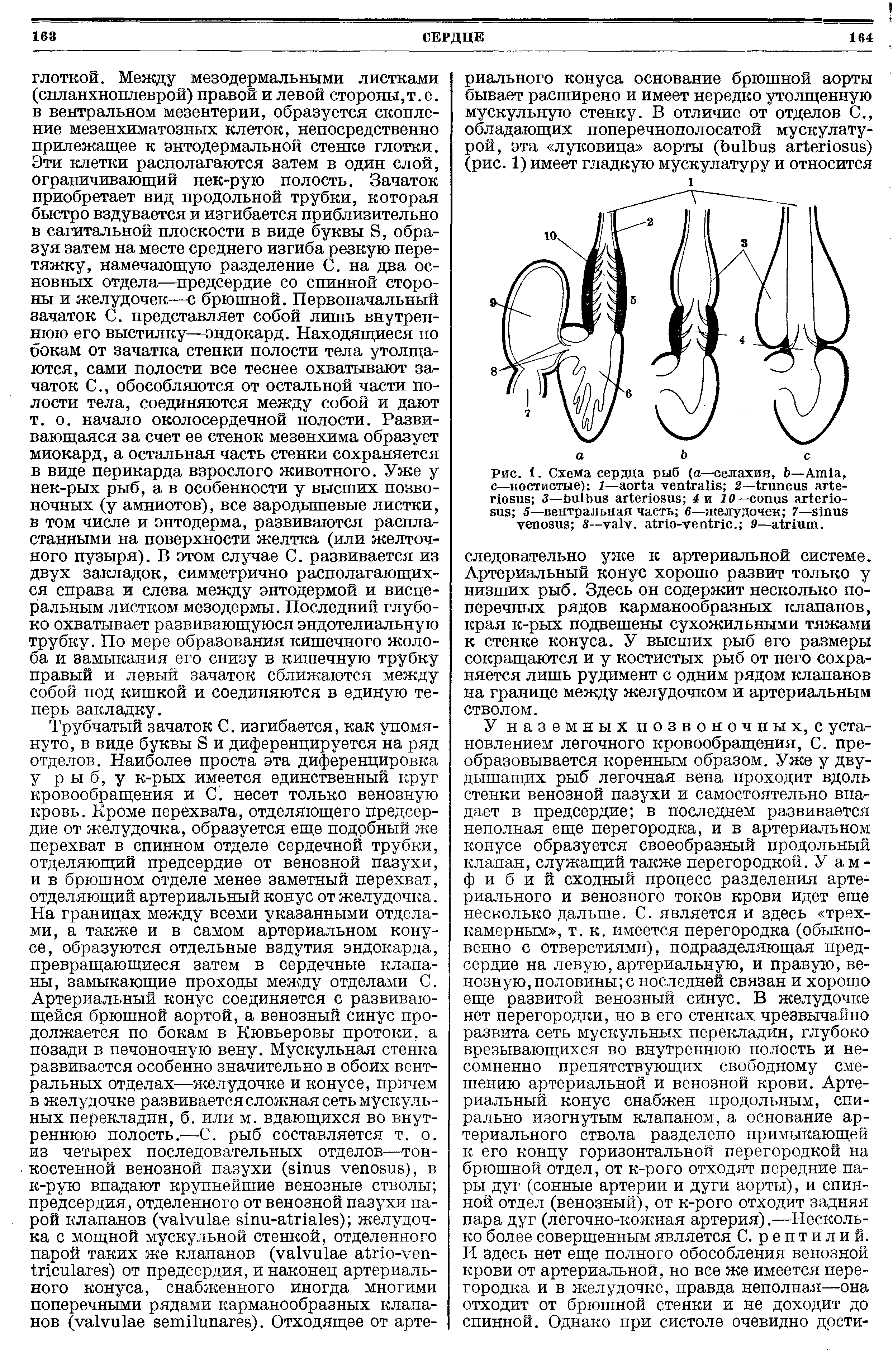 Рис. 1. Схема сердца рыб (а—селахия, —A , с—костистые) 1— 2— 3— 4 и ГО— 5—вентральная часть 6—желудочек 7— 8— . - . 9— .