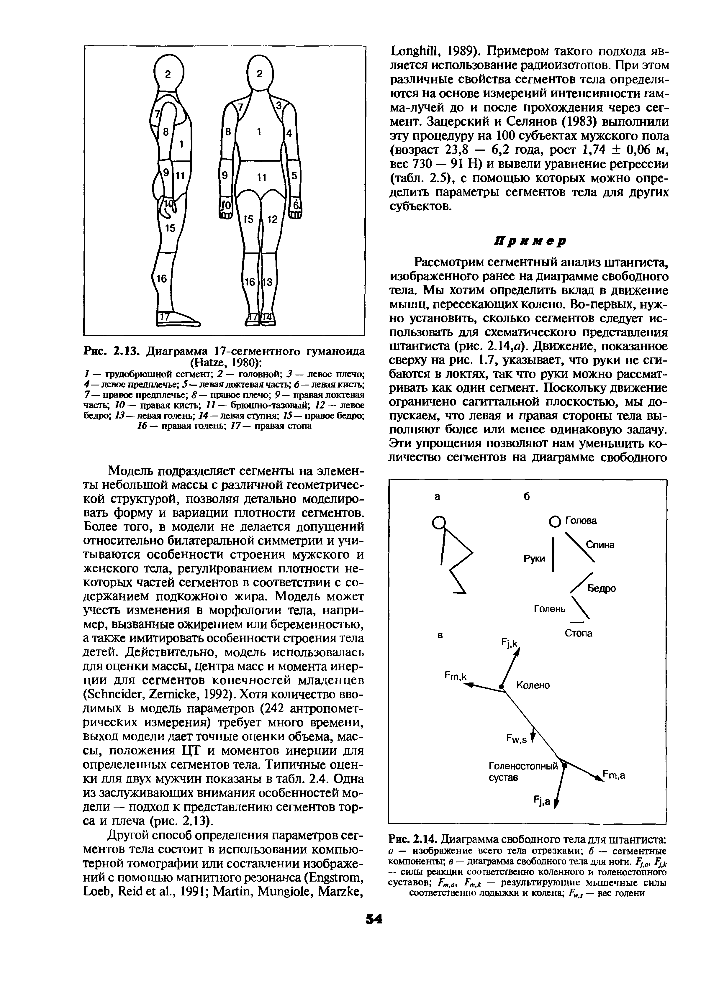 Рис. 2.14. Диаграмма свободного тела для штангиста а — изображение всего тела отрезками б — сегментные компоненты в — диаграмма свободного тела для ноги.