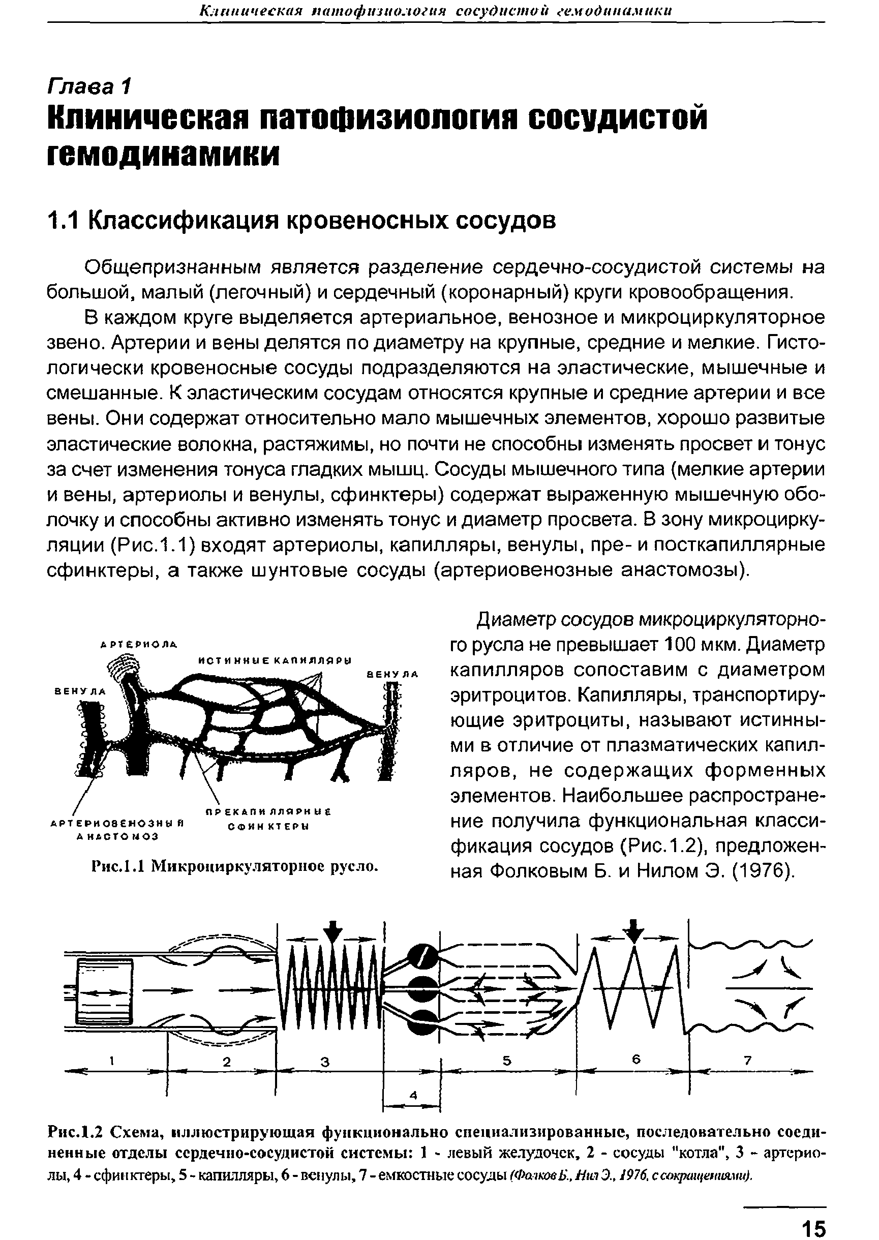 Рис.1.2 Схема, иллюстрирующая функционально специализированные, последовательно соединенные отделы сердечно-сосудистой системы 1 - левый желудочек, 2 - сосуды "котла", 3 - артериолы, 4 - сфинктеры, 5 - капилляры, 6 - венулы, 7 - емкостные сосуды (Фа-чковБ., Нт Э., 1976. сокращениями).