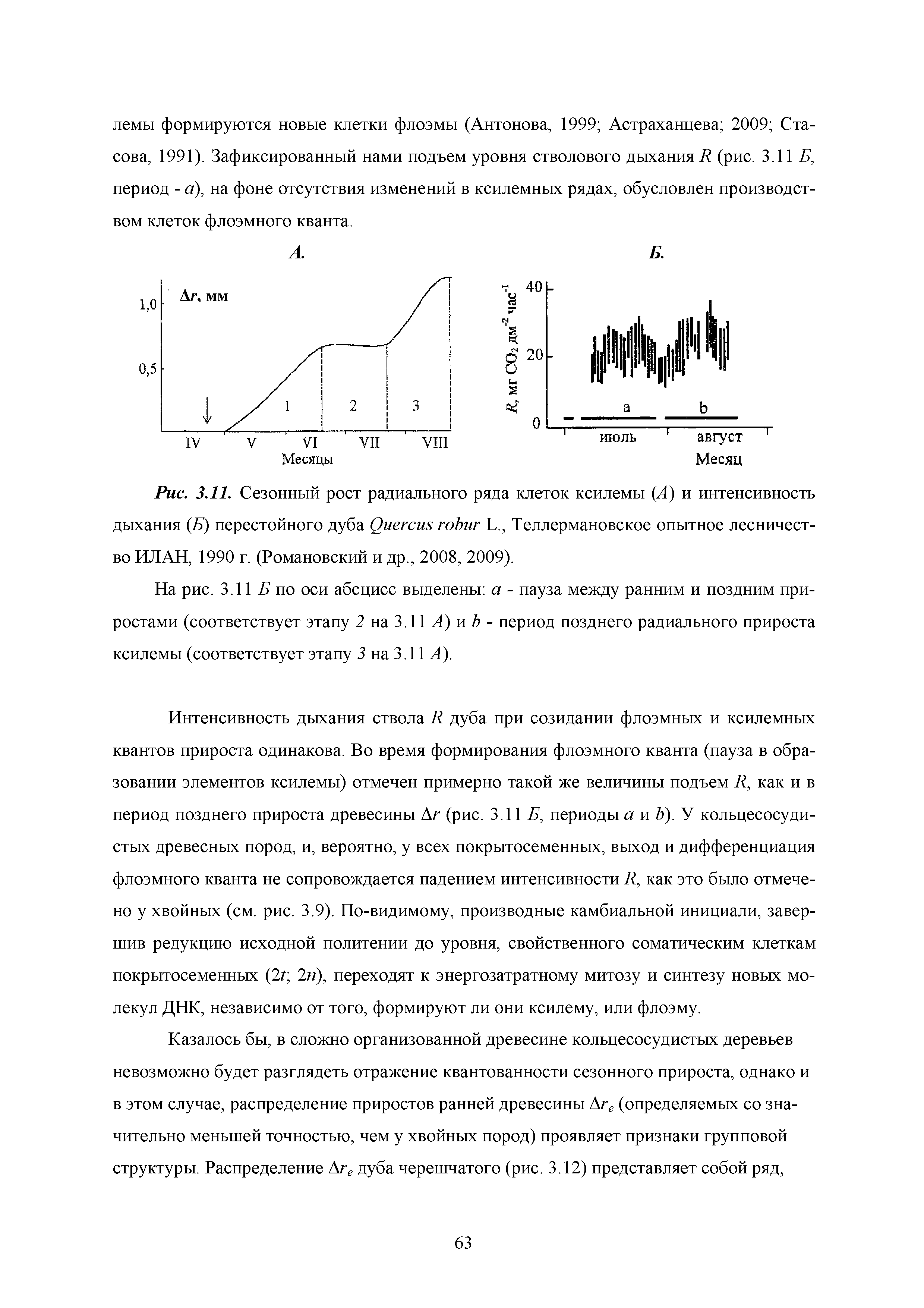 Рис. 3.11. Сезонный рост радиального ряда клеток ксилемы (А) и интенсивность дыхания (Б) перестойного дуба Q L., Теллермановское опытное лесничество ИЛАН, 1990 г. (Романовский и др., 2008, 2009).