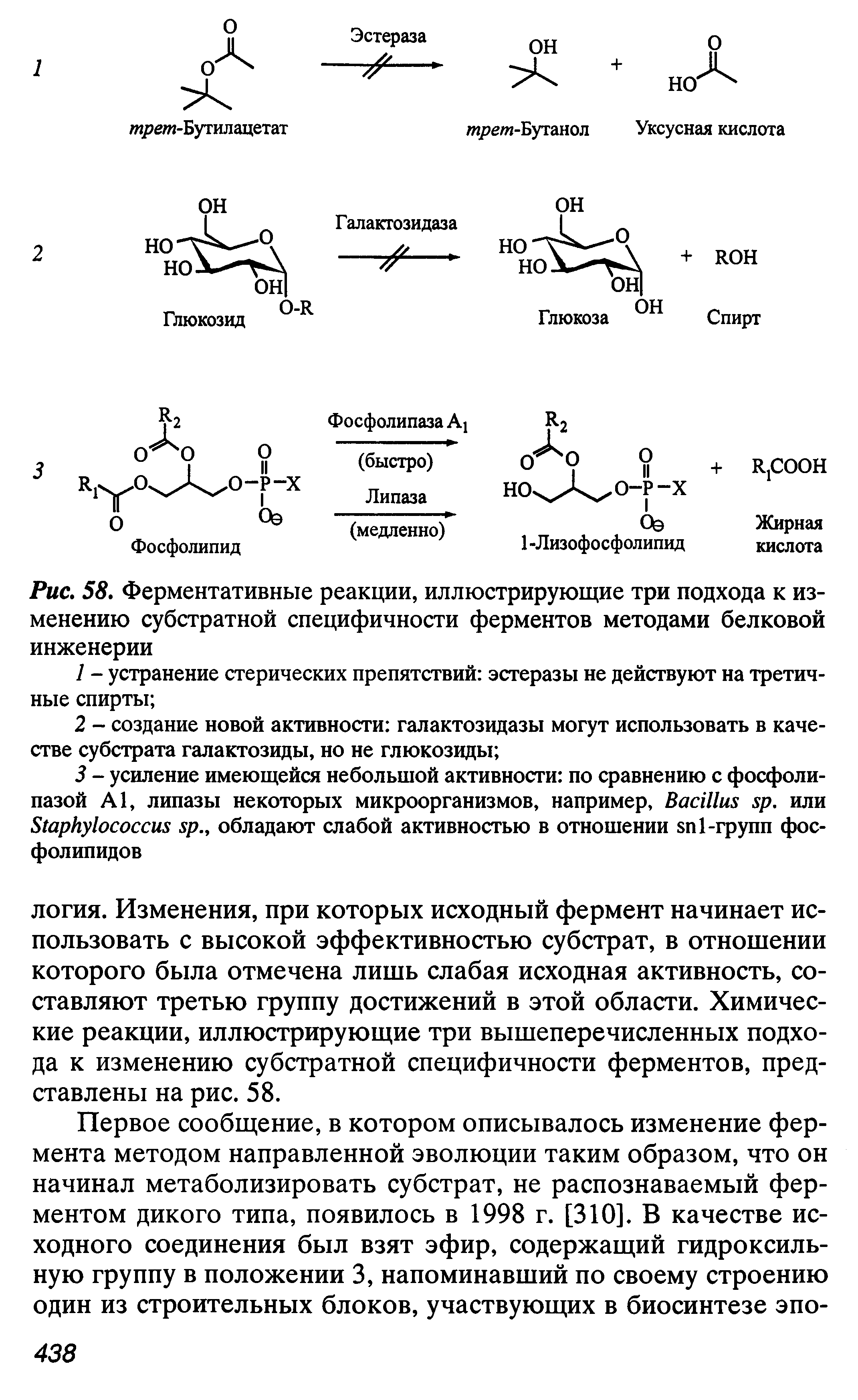 Рис. 58. Ферментативные реакции, иллюстрирующие три подхода к изменению субстратной специфичности ферментов методами белковой инженерии...