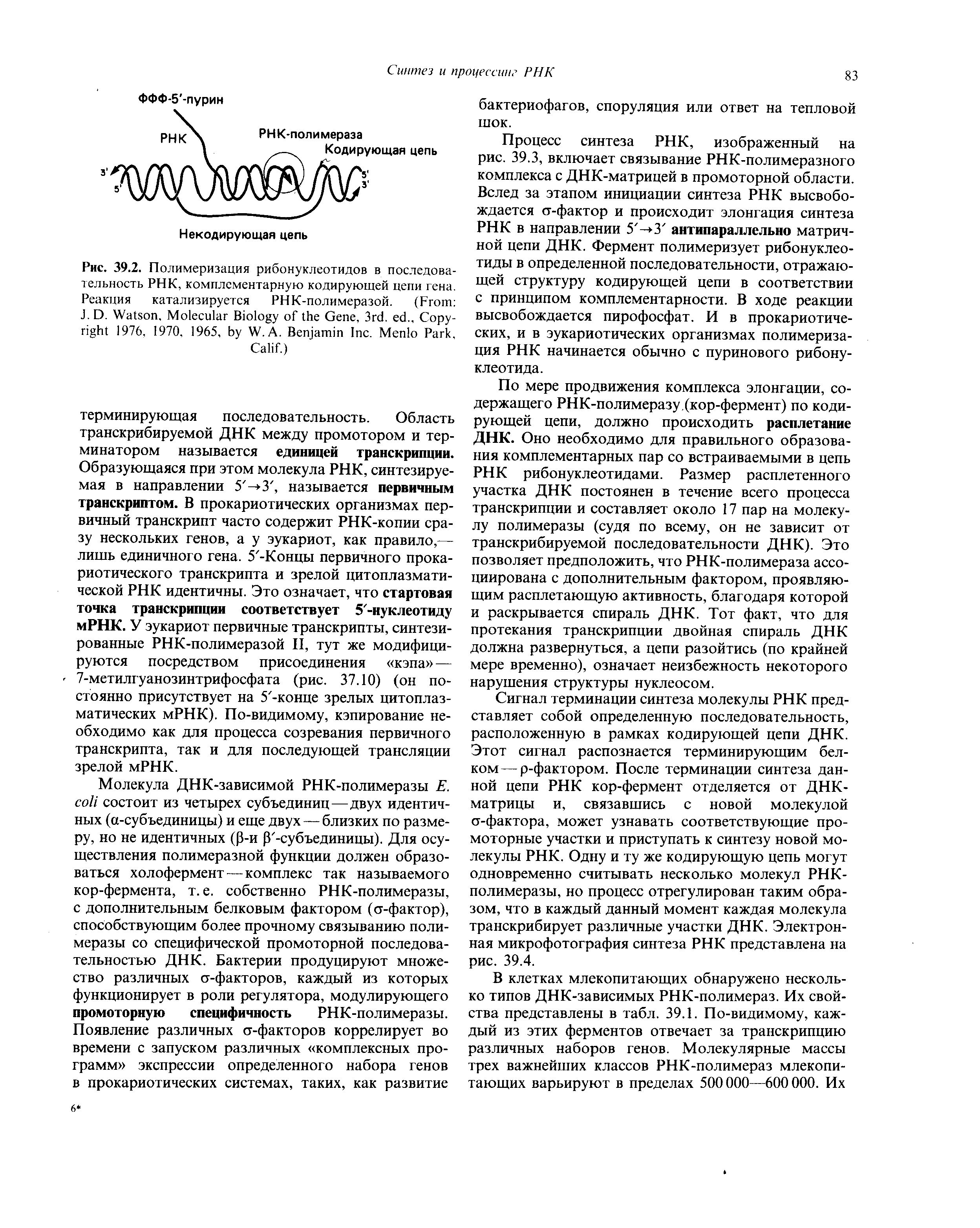 Рис. 39.2. Полимеризация рибонуклеотидов в последовательность РНК, комплементарную кодирующей цепи гена. Реакция катализируется РНК-полимеразой. (F J. D. W , M B G , 3 . .. C 1976, 1970, 1965, W. A. B I . M P , C .)...