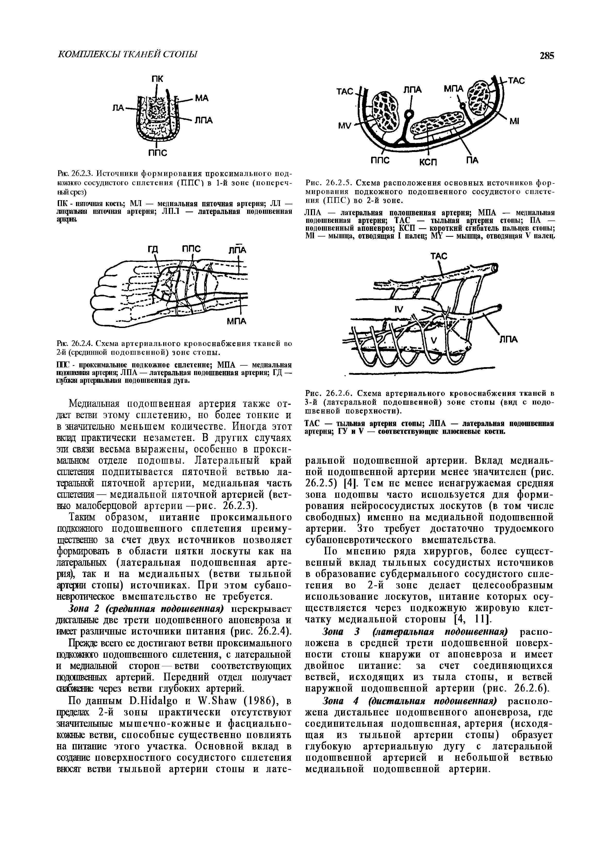 Рис. 26.2.5. Схема расположения основных источников формирования подкожного подошвенного сосудистого сплетения (ППС) во 2-й зоне.