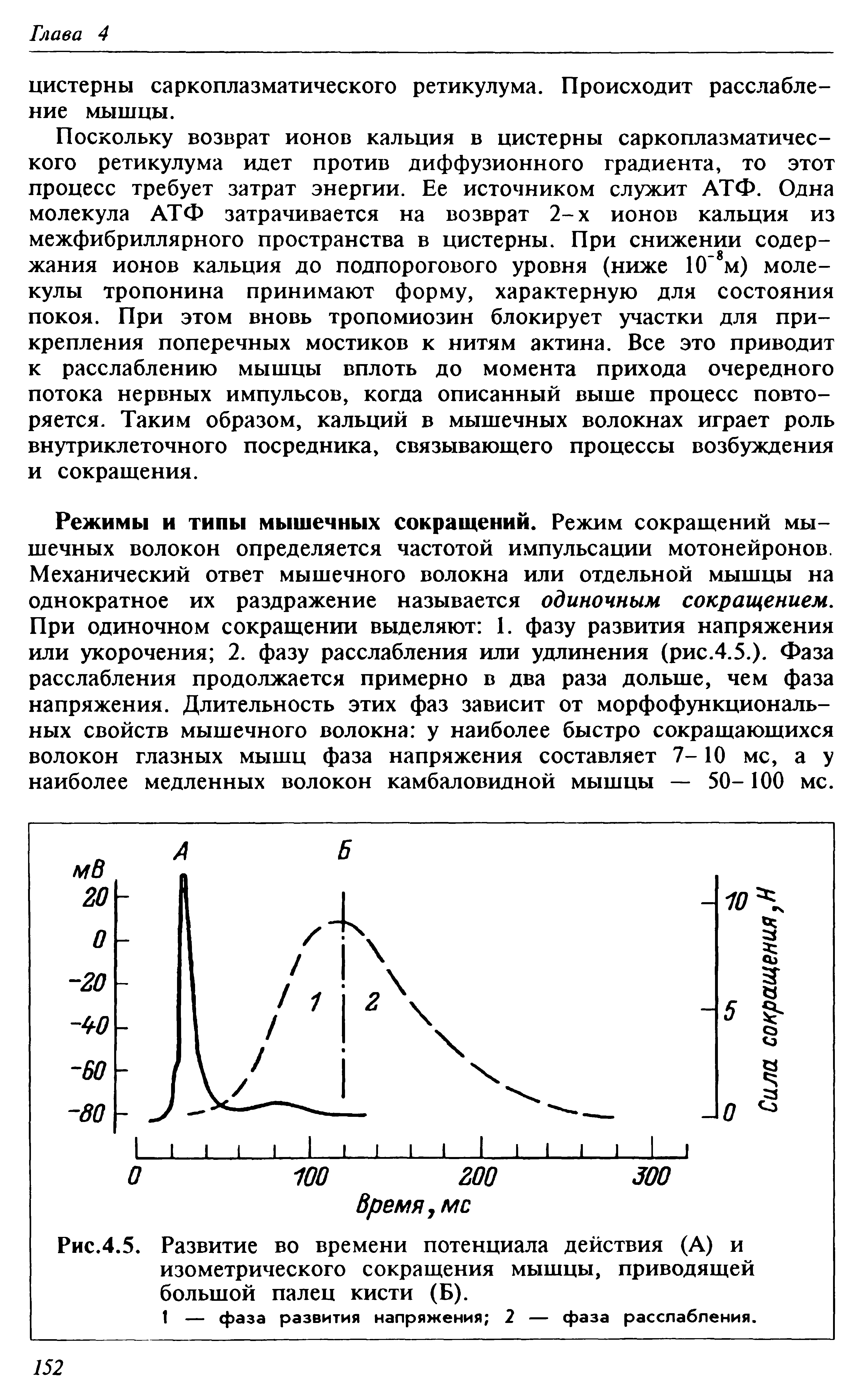 Рис.4.5. Развитие во времени потенциала действия (А) и изометрического сокращения мышцы, приводящей большой палец кисти (Б).