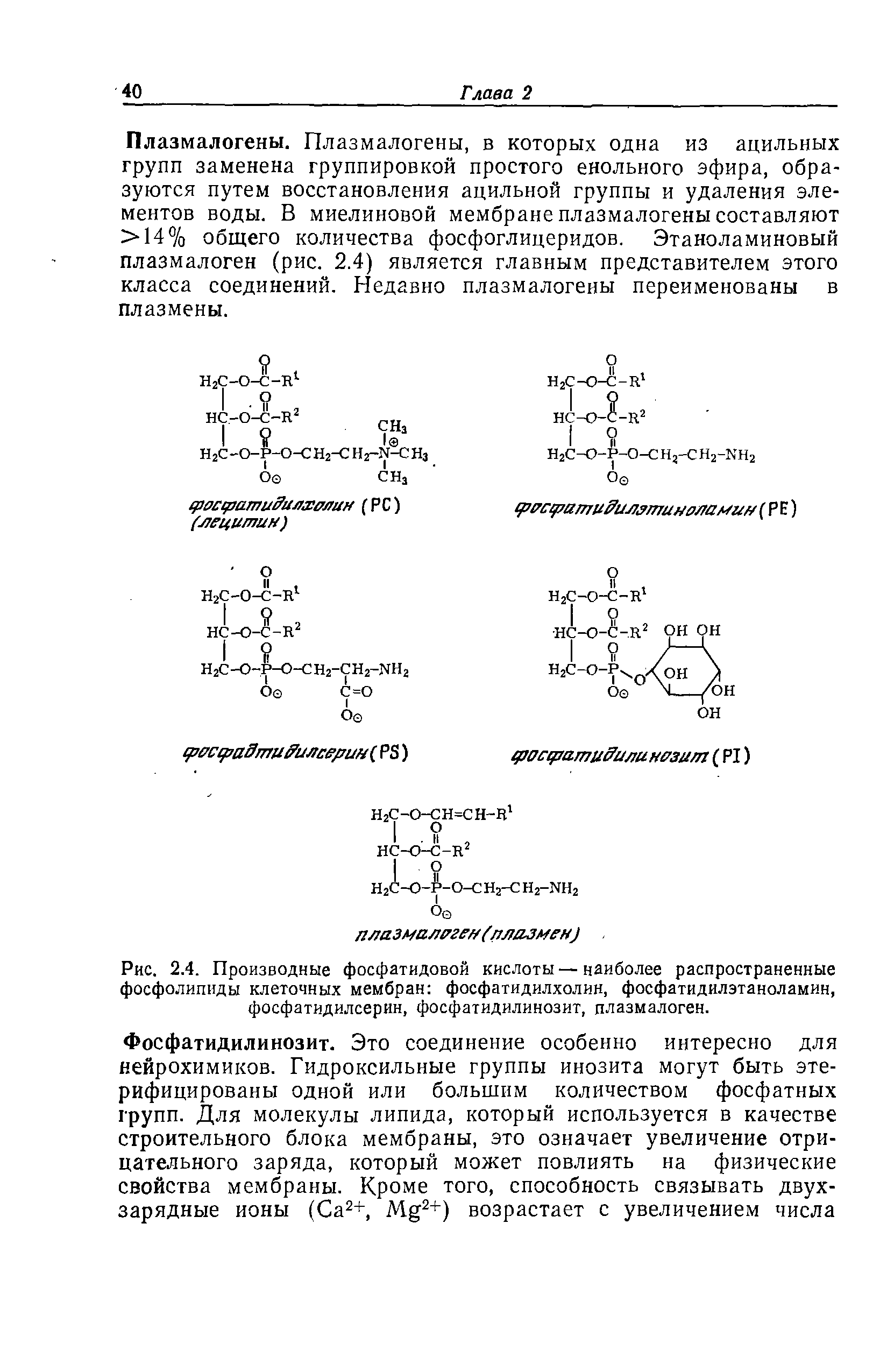 Рис. 2.4. Производные фосфатидовой кислоты—наиболее распространенные фосфолипиды клеточных мембран фосфатидилхолин, фосфатидилэтаноламин, фосфатидилсерин, фосфатидилинозит, плазмалоген.