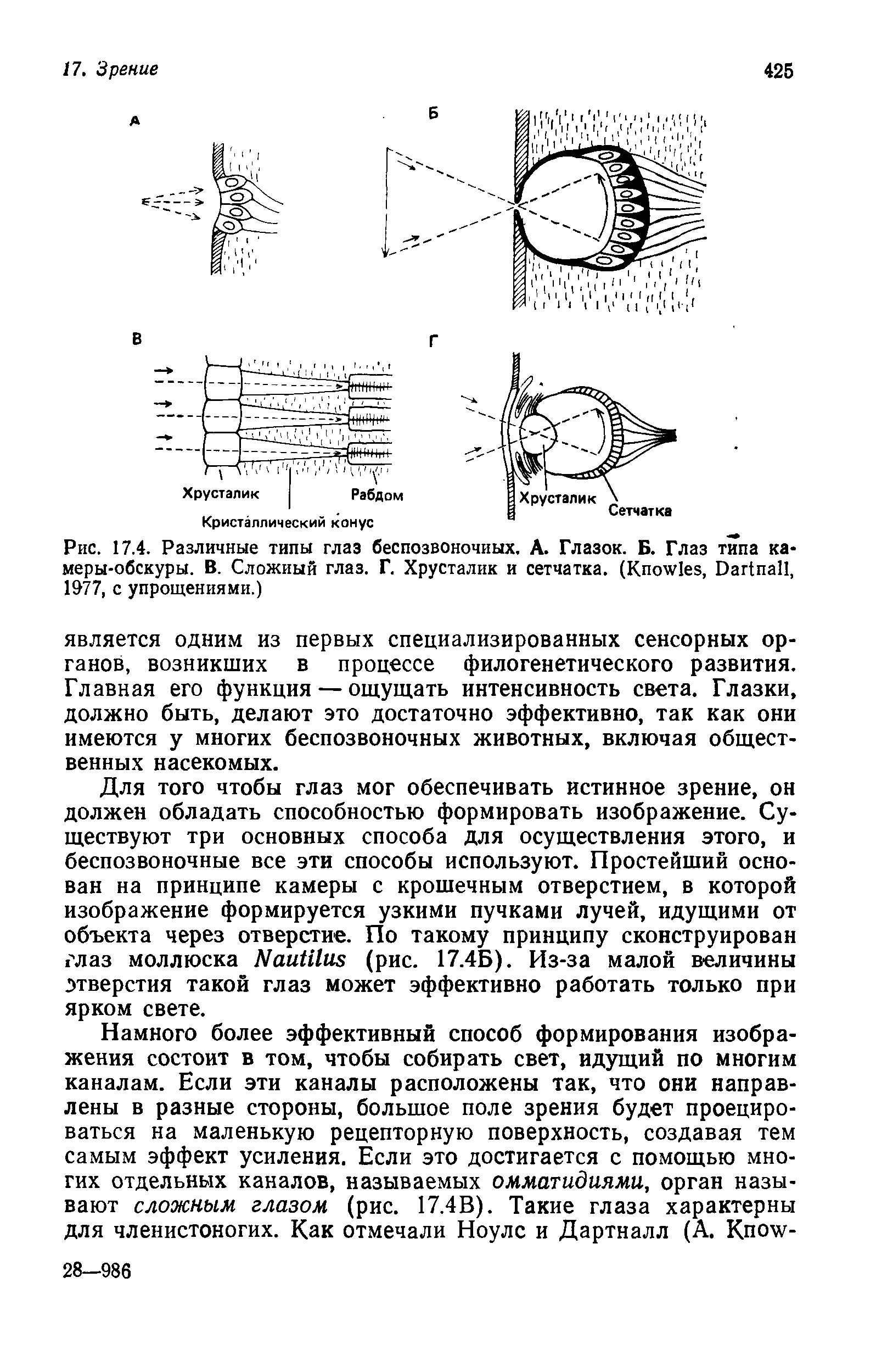 Рис. 17.4. Различные типы глаз беспозвоночных. А. Глазок. Б. Глаз типа камеры-обскуры. В. Сложный глаз. Г. Хрусталик и сетчатка. (K , D , 1977, с упрощениями.)...