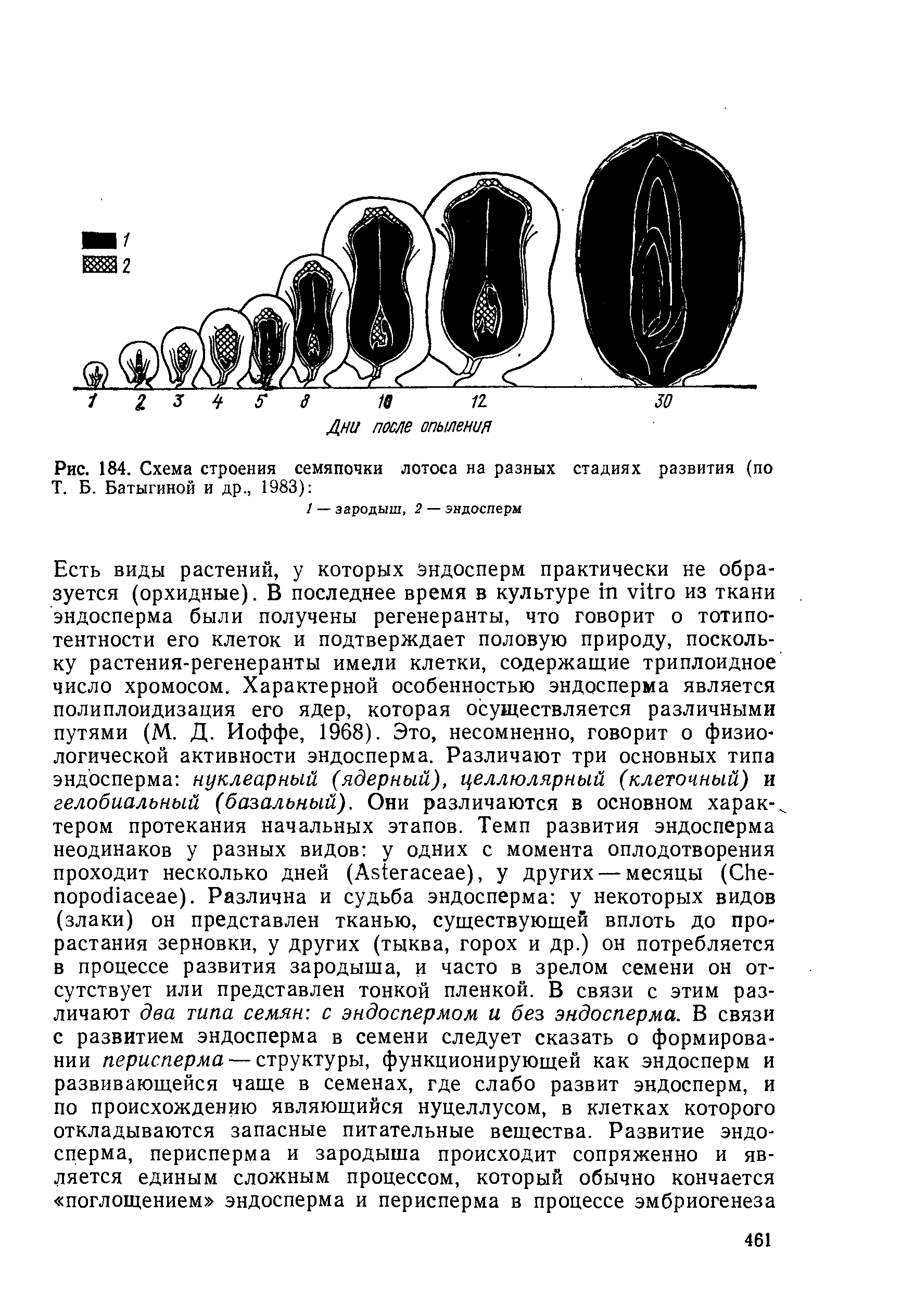 Рис. 184. Схема строения семяпочки лотоса на разных стадиях развития (по...