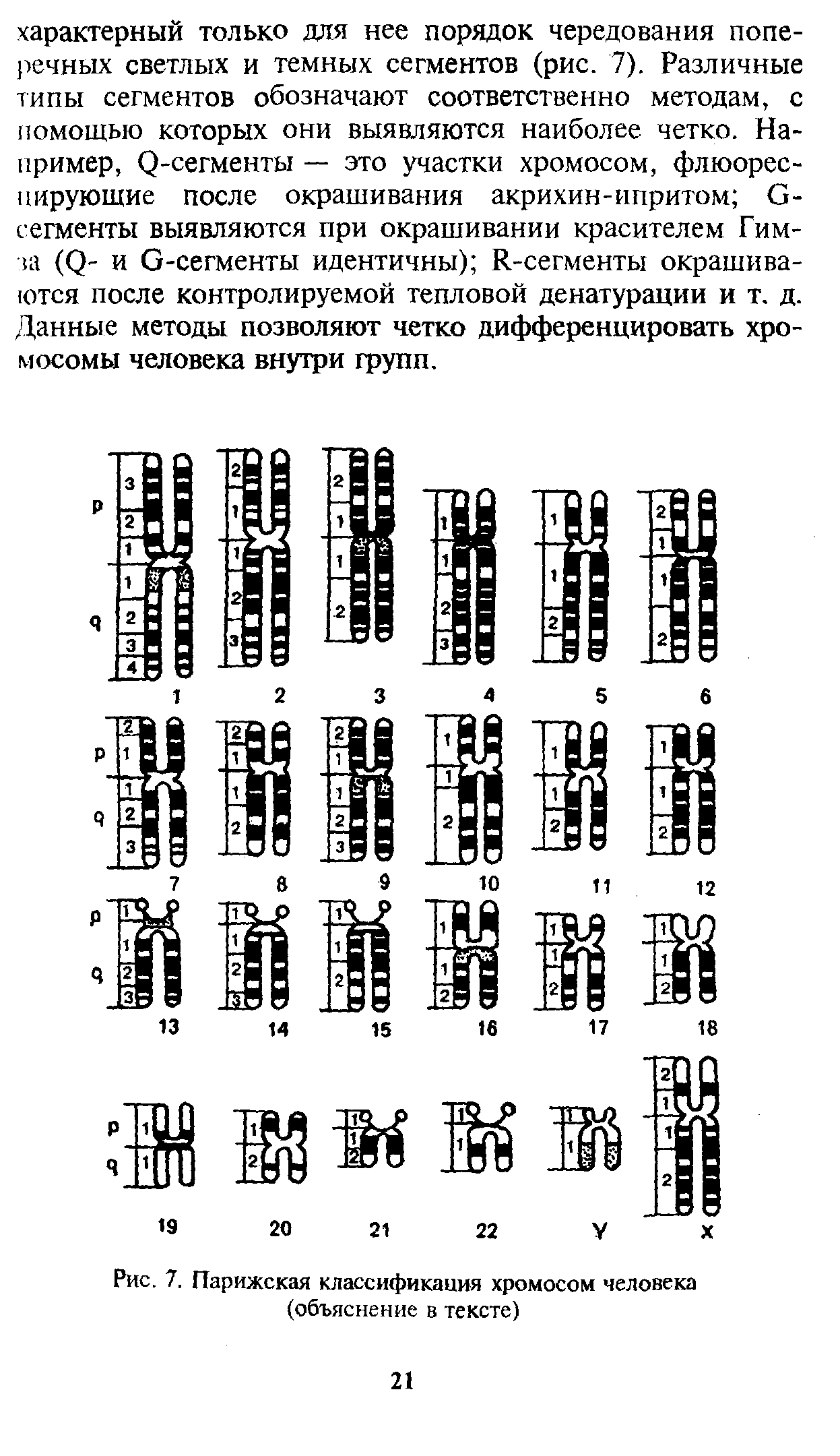 Рис. 7. Парижская классификация хромосом человека (объяснение в тексте)...