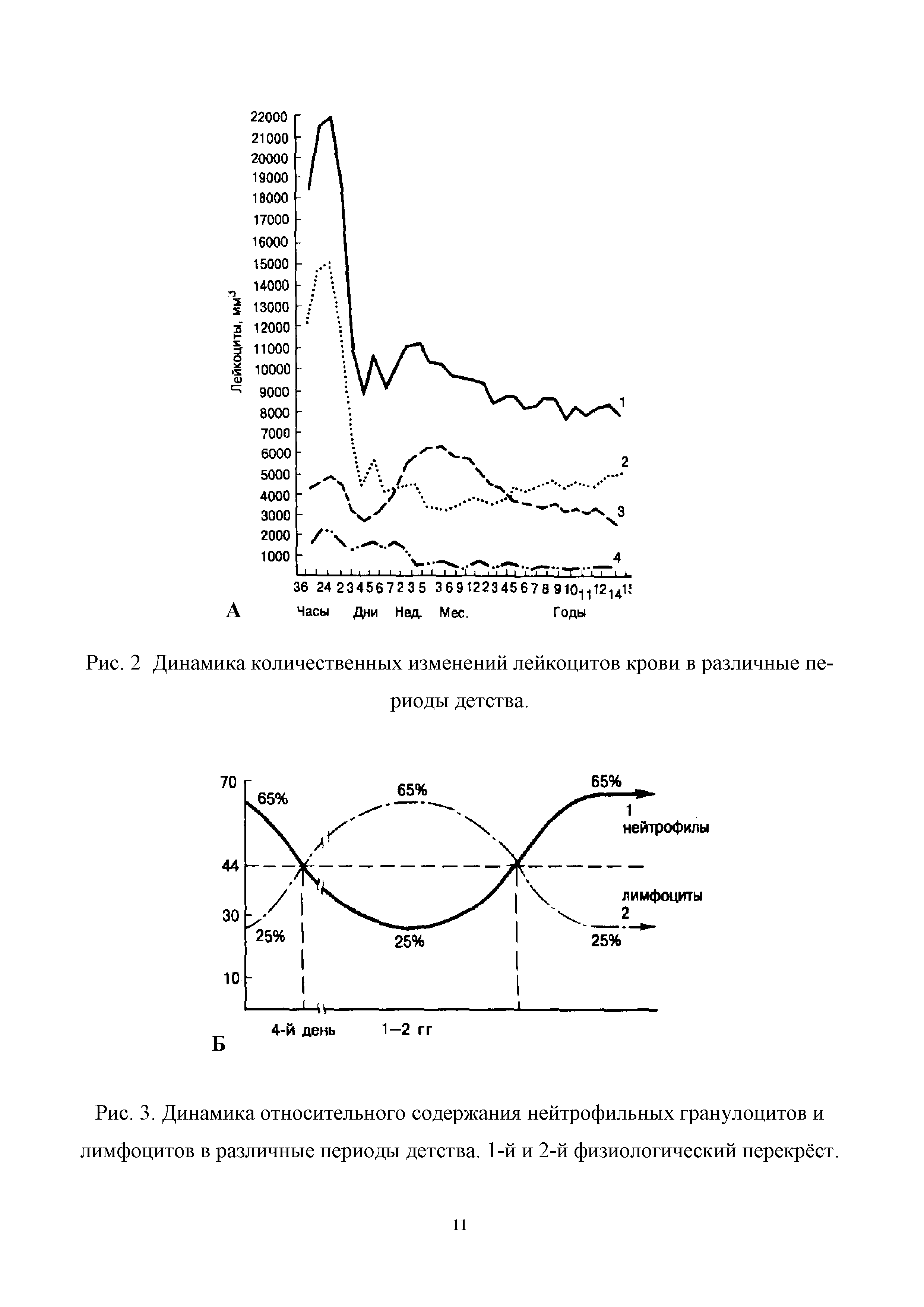 Рис. 2 Динамика количественных изменений лейкоцитов крови в различные пе-...