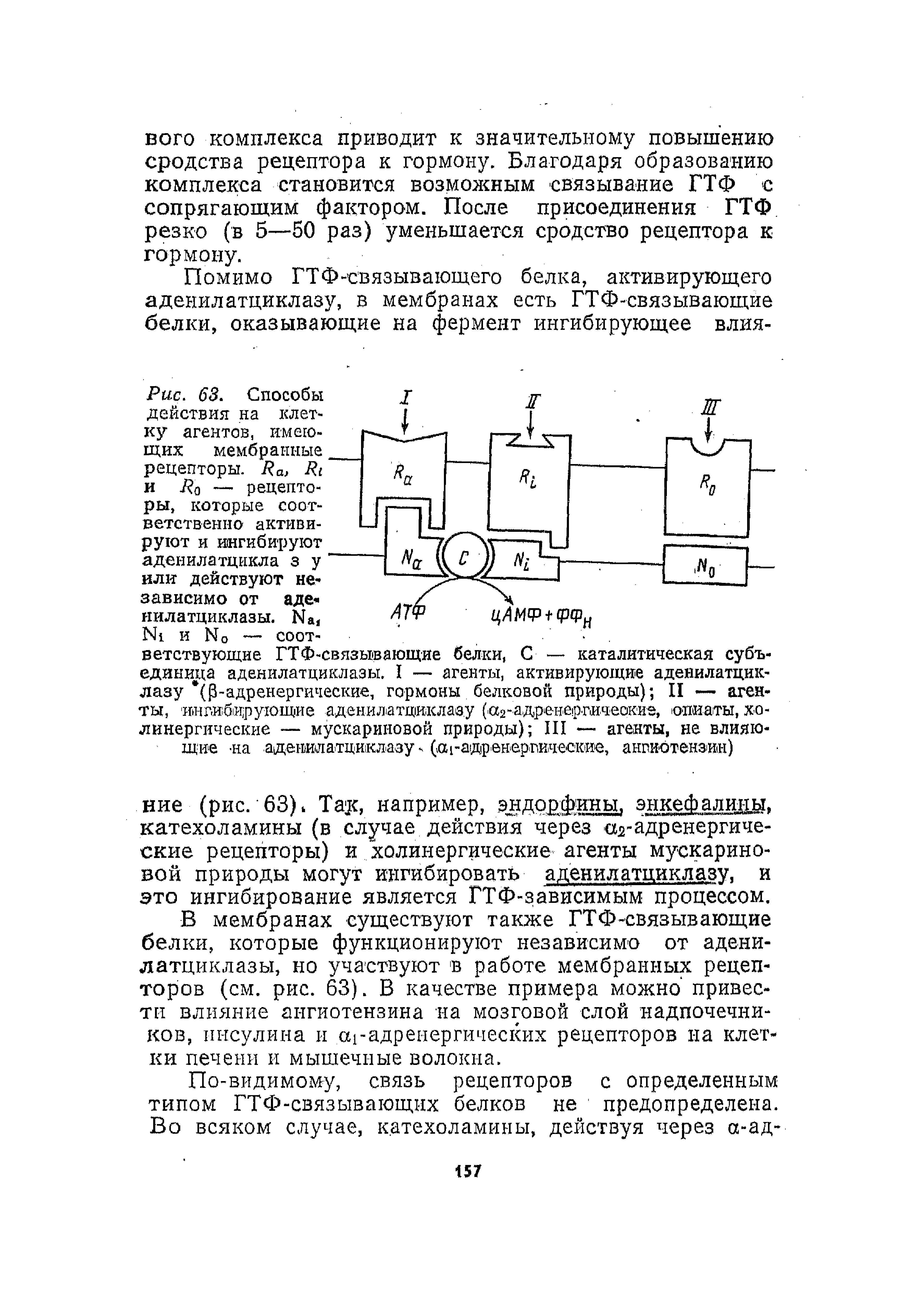 Рис. 63. Способы действия на клетку агентов, имеющих мембранные ...