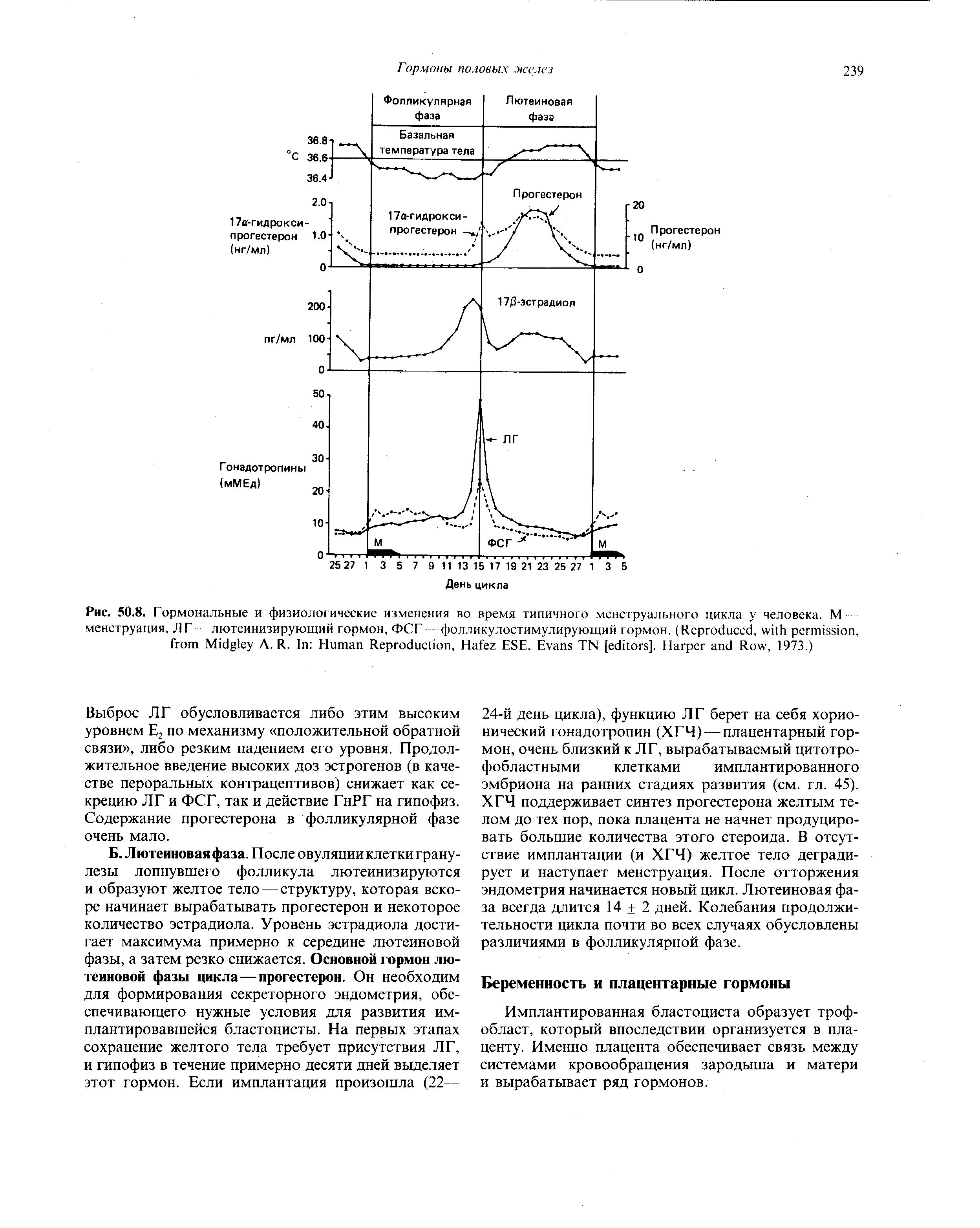 Рис. 50.8. Гормональные и физиологические изменения во время типичного менструального цикла у человека. М менструация, ЛГ — лютеинизирующий гормон, ФСГ фолликулостимулирующий гормон. (R , , M A. R. I H R , H ESE, E TN [ ]. H R , 1973.)...
