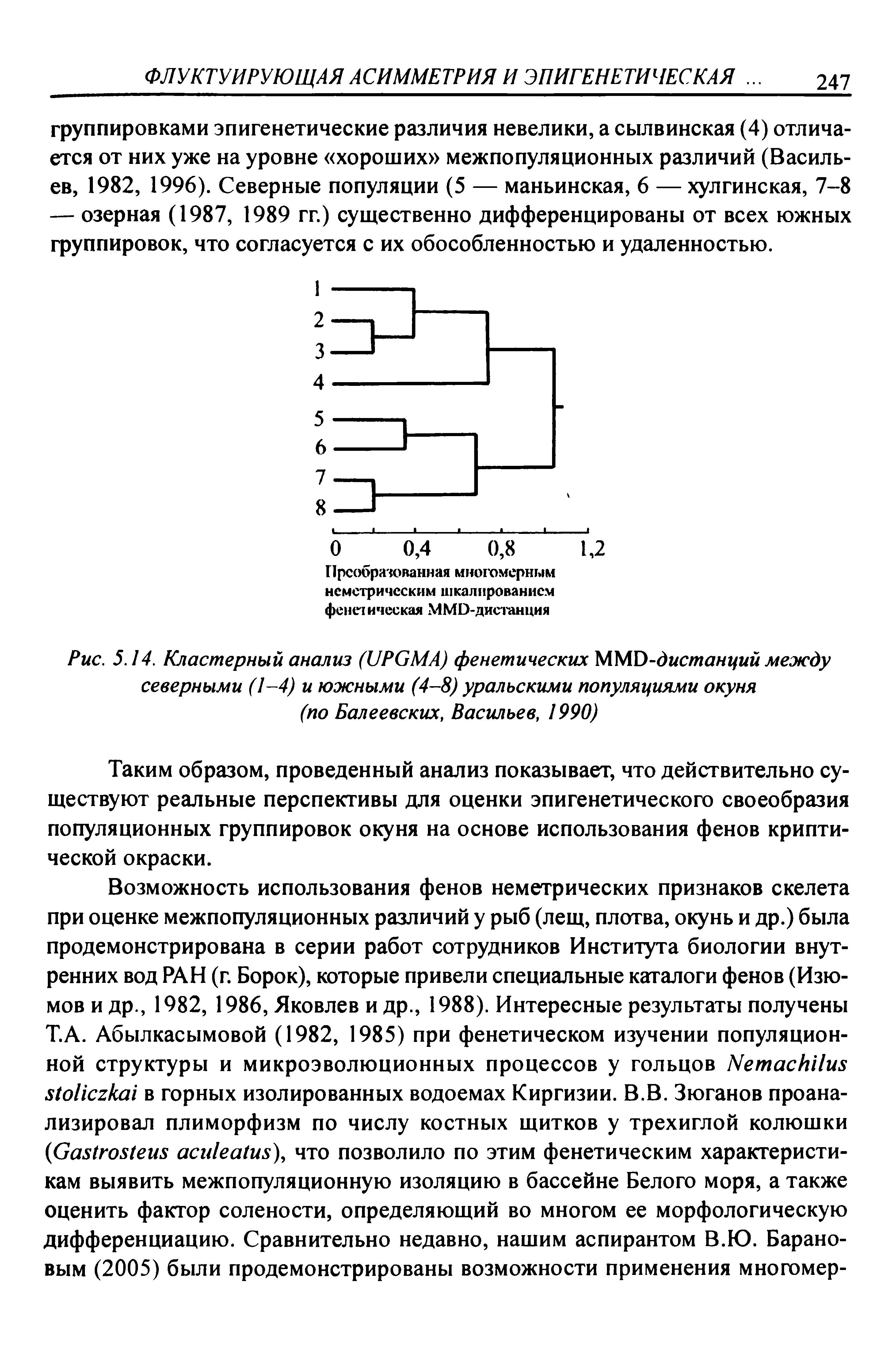 Рис. 5.14. Кластерный анализ (UPGMA) фенетических MMD-дистанций между северными (1—4) и южными (4-8) уральскими популяциями окуня...