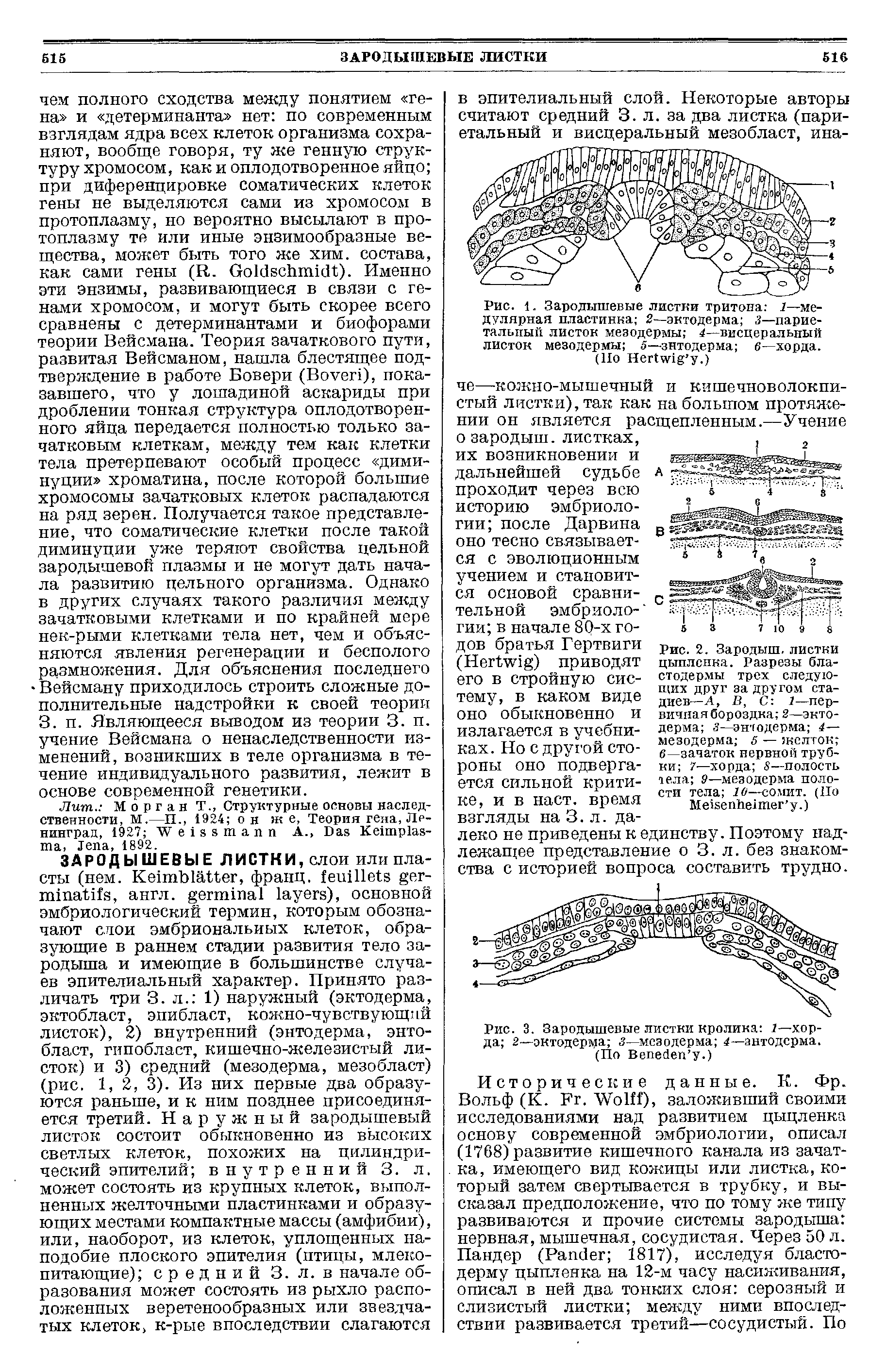 Рис. 2. Зародыш, листки цыпленка. Разрезы бластодермы трех следующих друг за другом стадиев—А, В, С 1—первичная бороздка 2—эктодерма энтодерма 4— мезодерма 5 — желток в—зачаток нервной трубки 7—хорда S—полость тела 9—мезодерма полости тела 10—сомит. (По M .)...