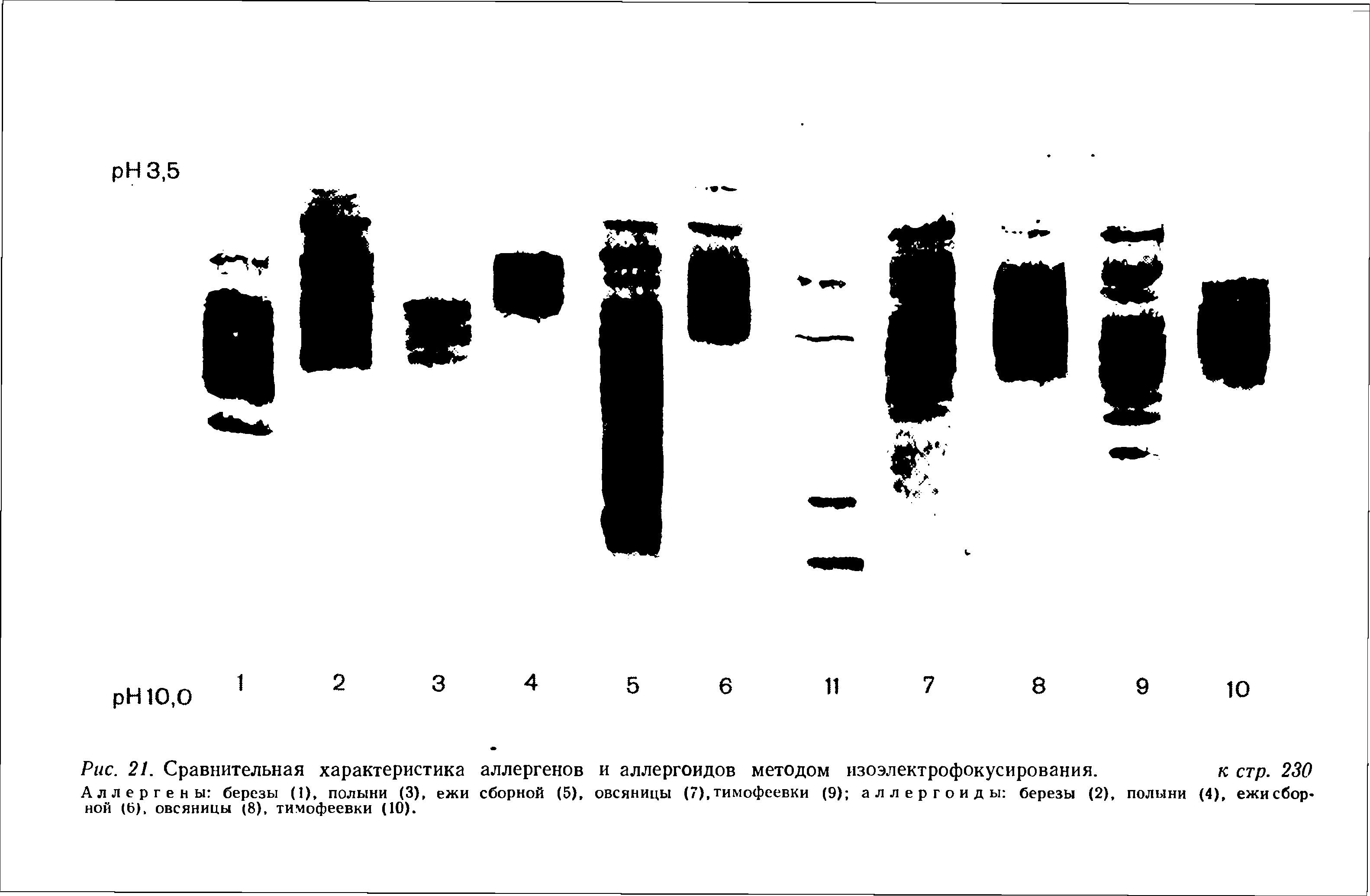 Рис. 21. Сравнительная характеристика аллергенов и аллергоидов методом изоэлектрофокусирования. к стр. 230...