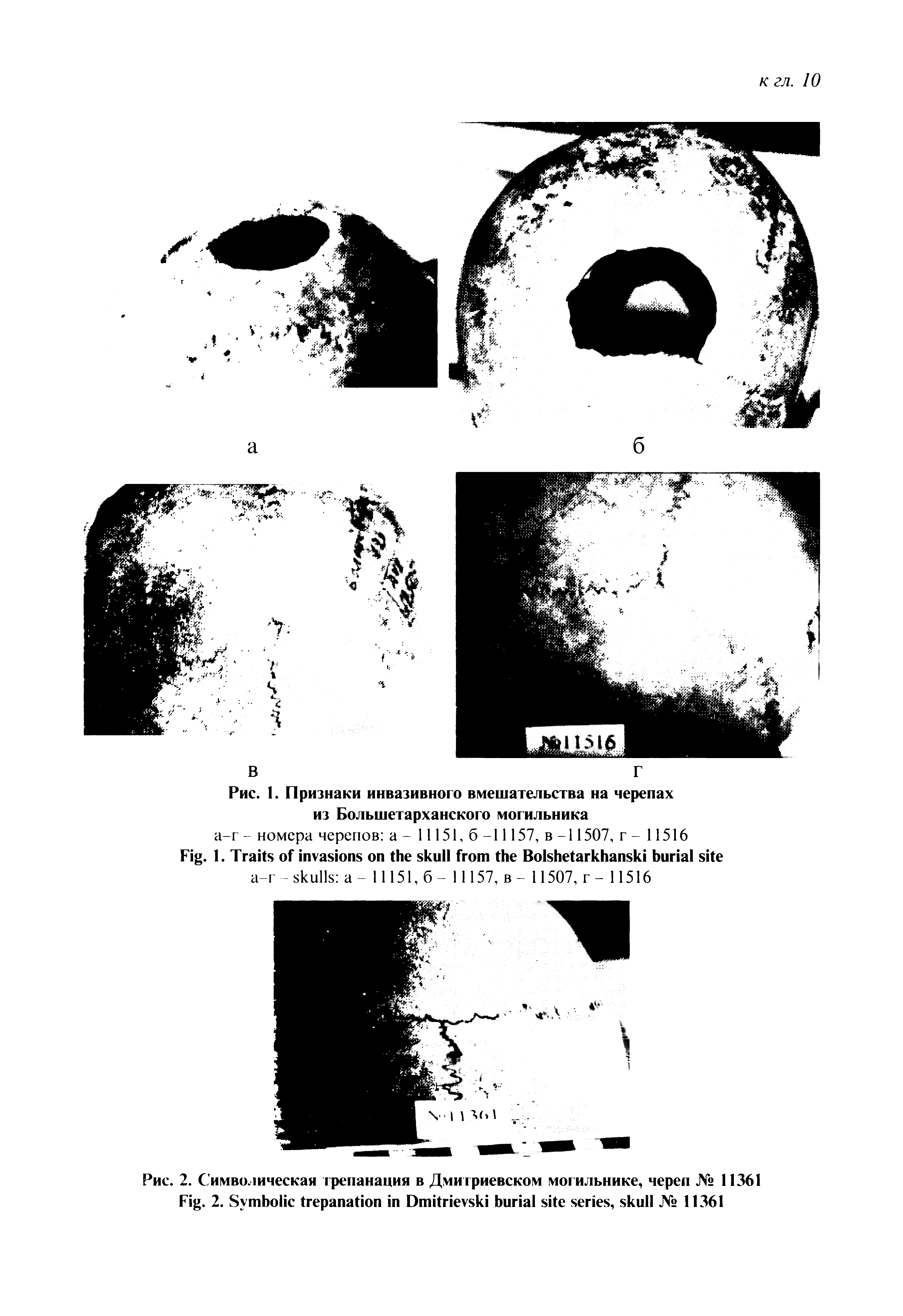 Рис. 2. Символическая трепанация в Дмитриевском могильнике, череп № 11361 F . 2. S D , № 11361...