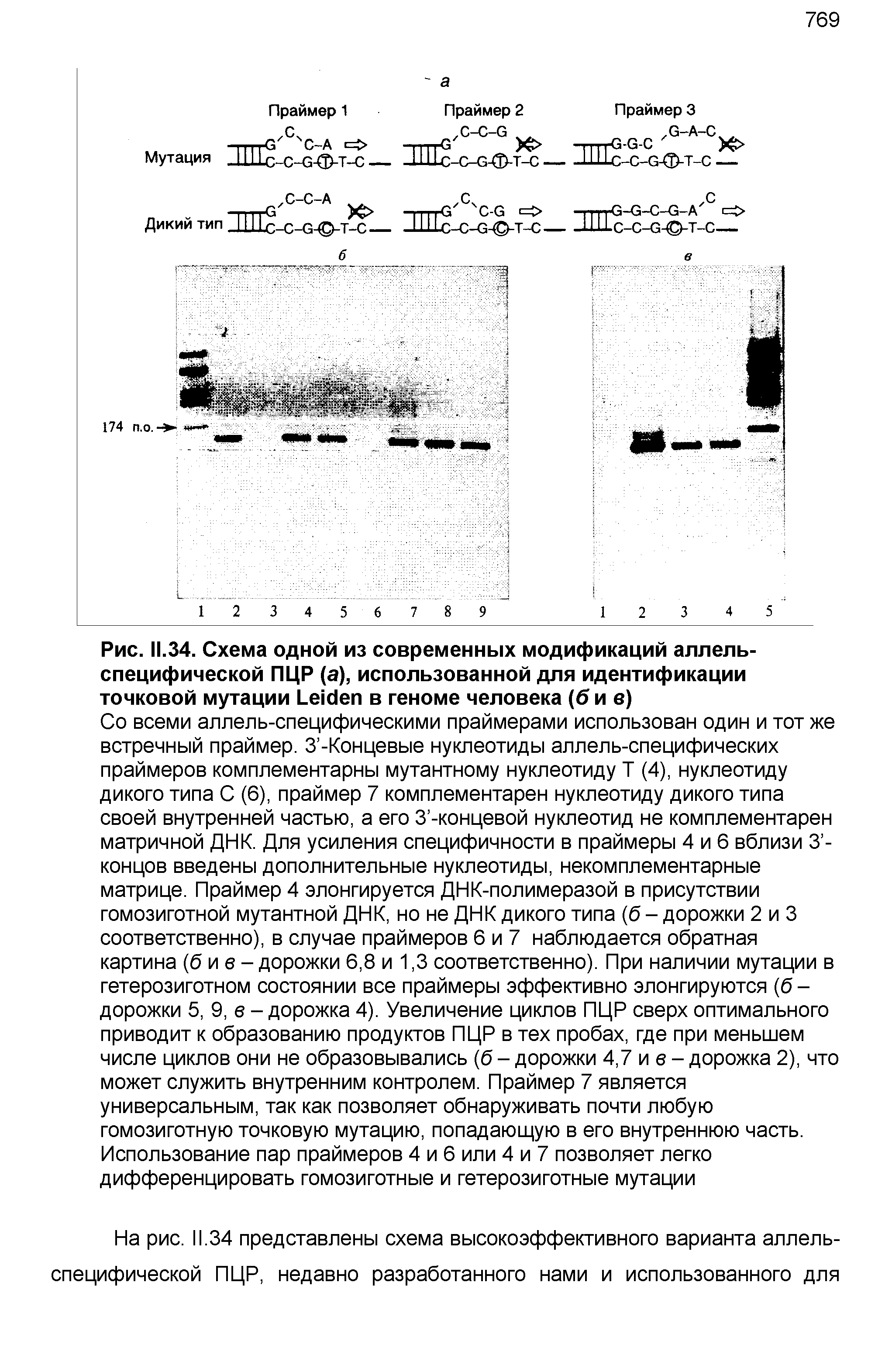 Рис. II.34. Схема одной из современных модификаций аллель-специфической ПЦР (а), использованной для идентификации точковой мутации L в геноме человека (б и в)...