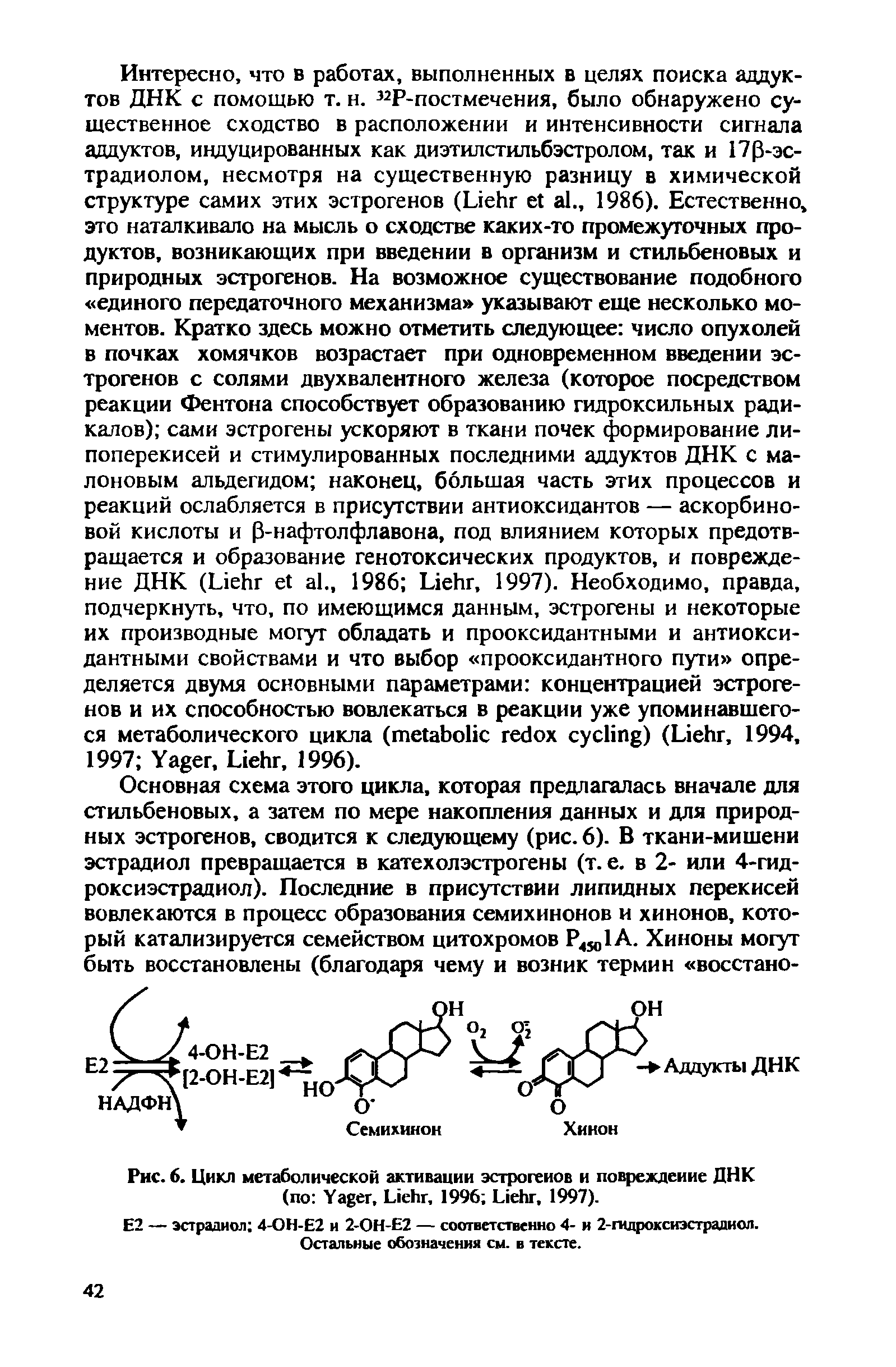 Рис. 6. Цикл метаболической активации эстрогенов и повреждение ДНК (по Y , L , 1996 L , 1997).