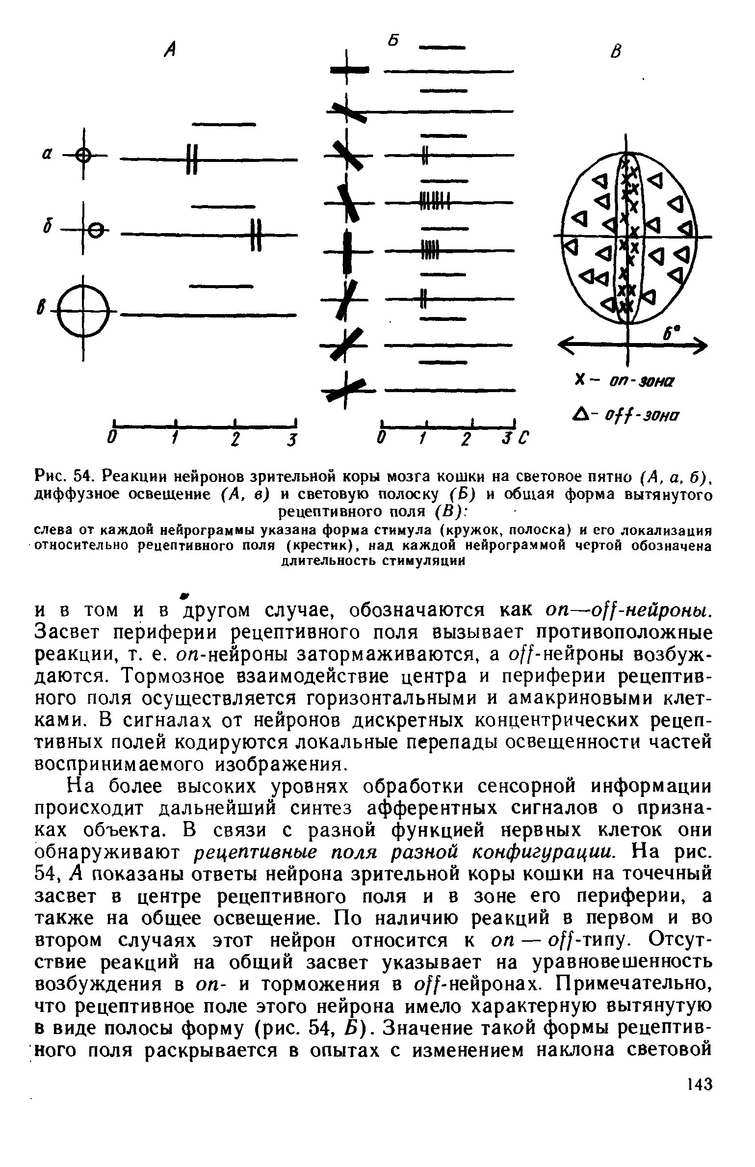 Рис. 54. Реакции нейронов зрительной коры мозга кошки на световое пятно (А, а, б), диффузное освещение (А, в) и световую полоску (Б) и общая форма вытянутого рецептивного поля (В) ...