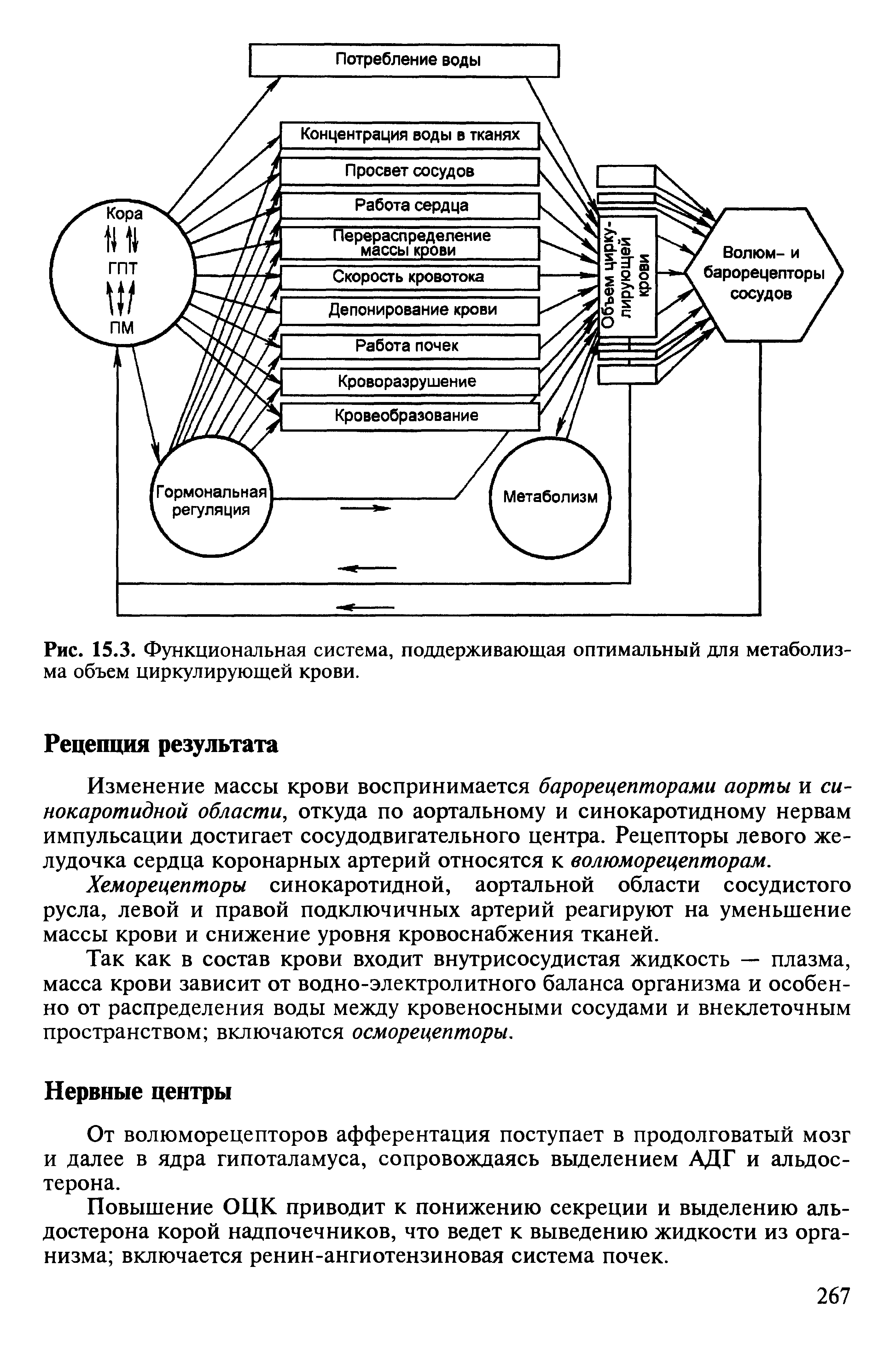 Рис. 15.3. Функциональная система, поддерживающая оптимальный для метаболизма объем циркулирующей крови.