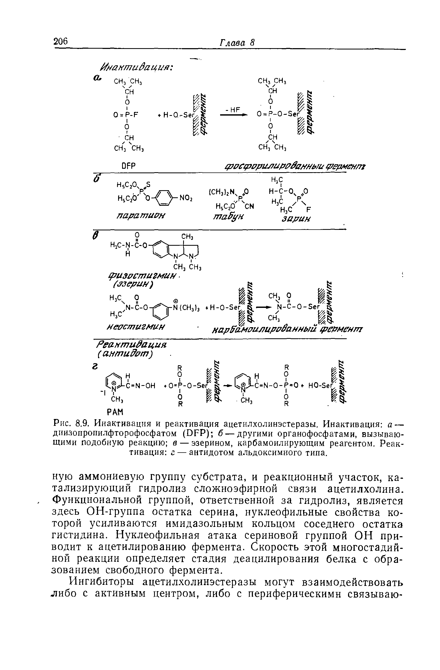 Рис. 8.9. Инактивация и реактивация ацетилхолинэстеразы. Инактивация а — диизопропилфторофосфатом (ИБР) б — другими органофосфатами, вызывающими подобную реакцию а — эзерином, карбамоилирующим реагентом. Реактивация г — антидотом альдоксимного типа.