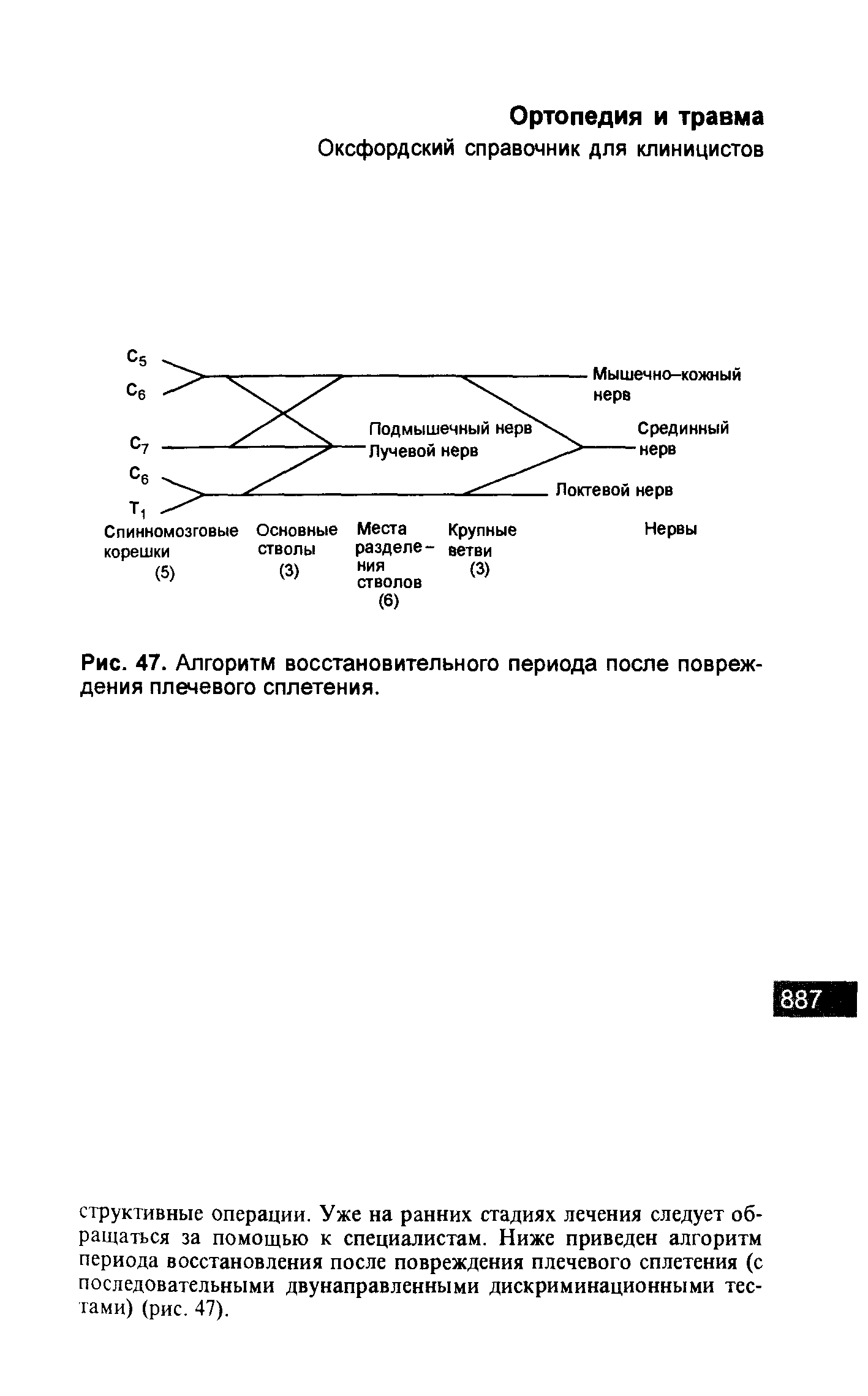 Рис. 47. Алгоритм восстановительного периода после повреждения плечевого сплетения.
