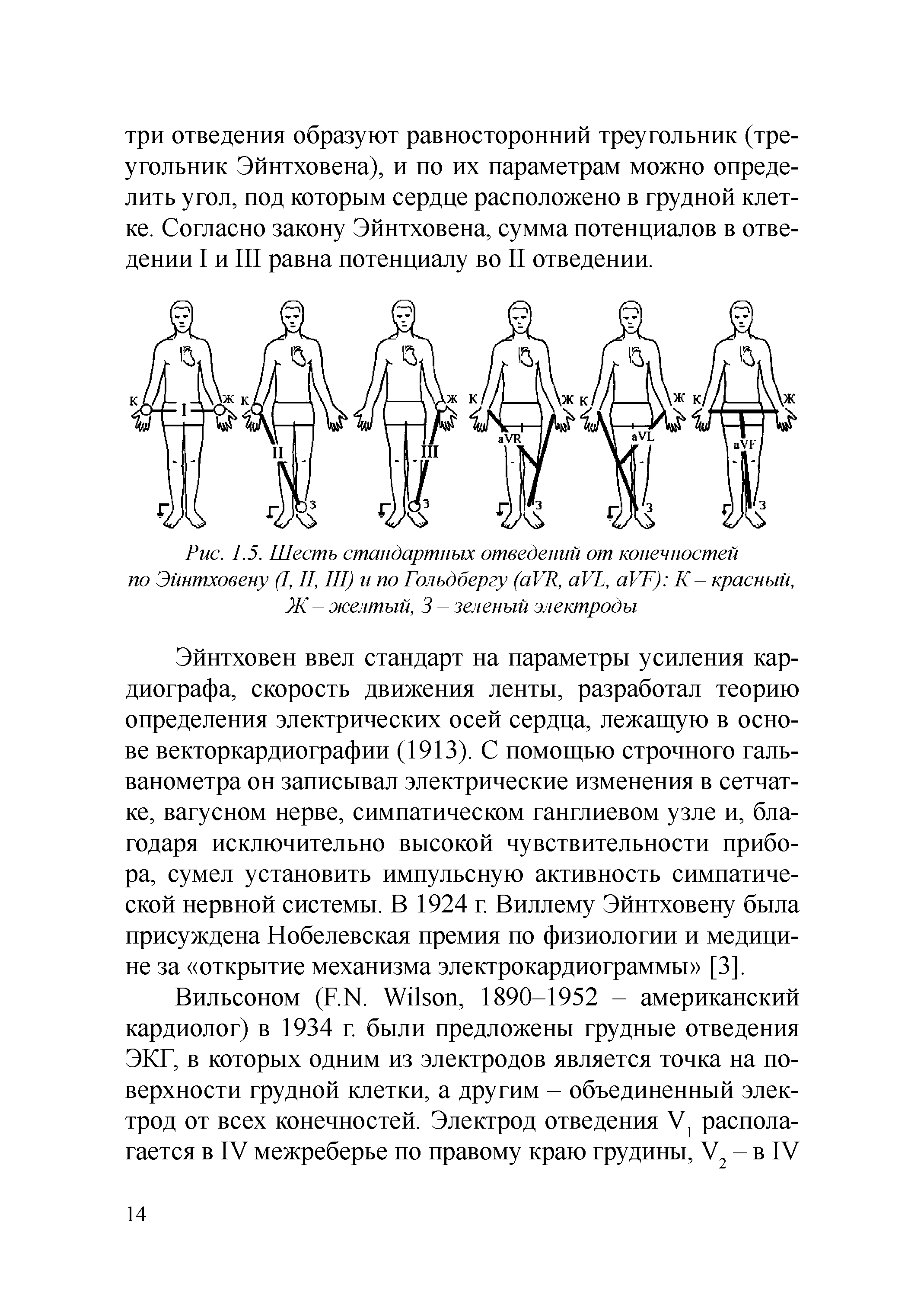 Рис. 1.5. Шесть стандартных отведений от конечностей по Эйнтховену (I, II, III) и по Гольдбергу (аУР, аУ1, аУГ) К-красный, Ж - желтый, 3 - зеленый электроды...