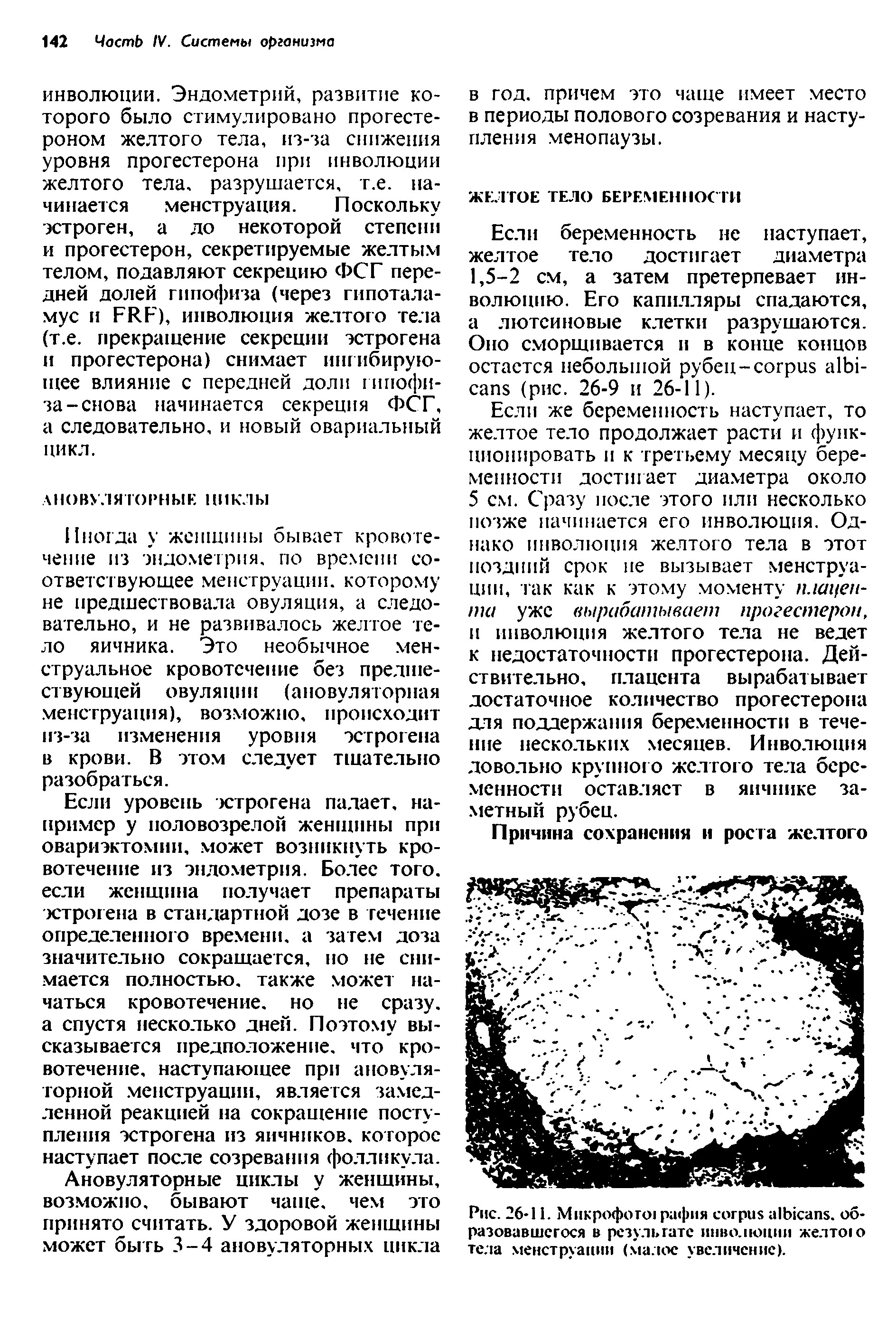 Рис. 26-11. Микрофого рафия , образовавшегося в результате инволюции желтою тела менструации (малое увеличение).