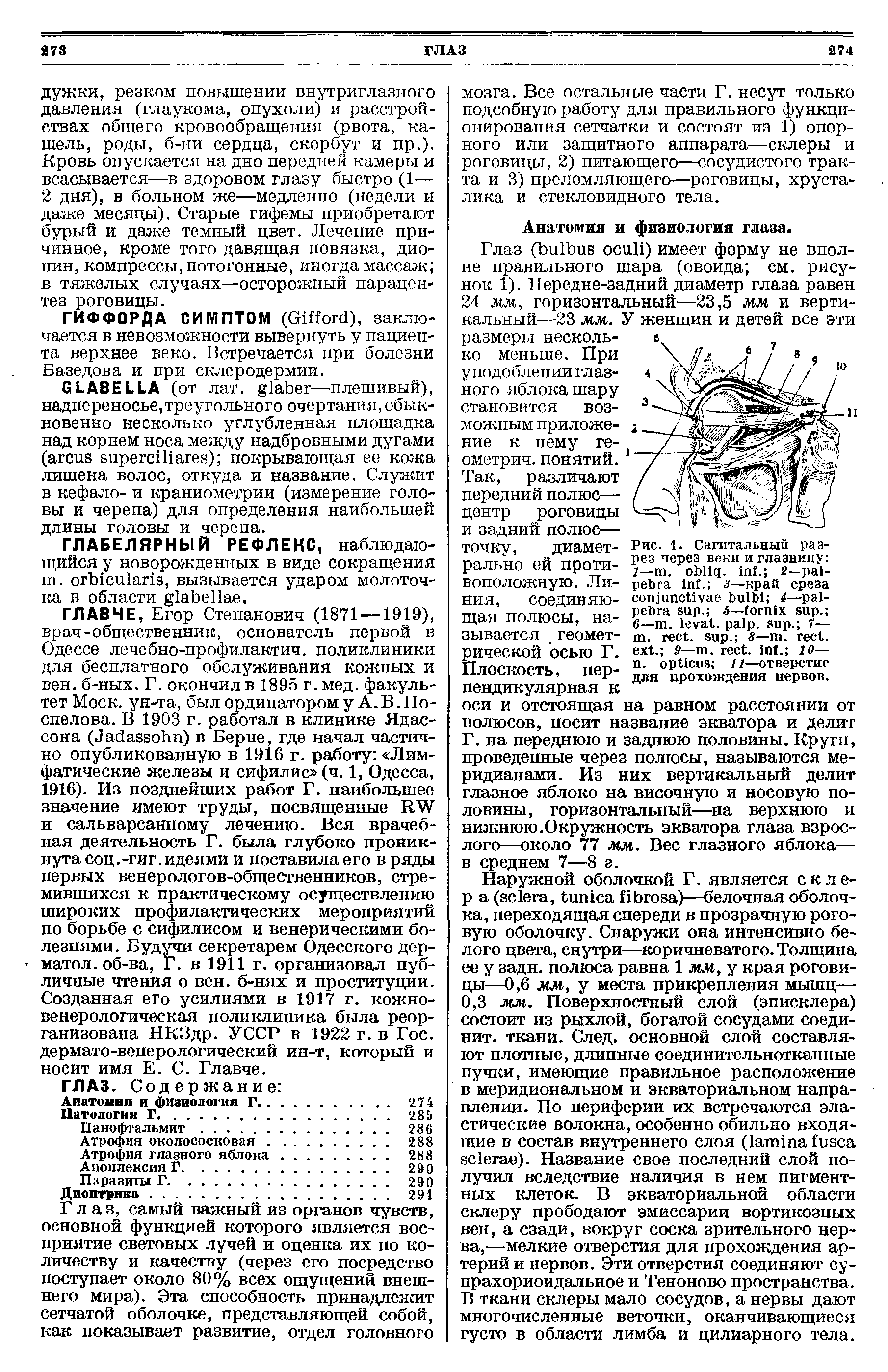 Рис. 1. Сагитальный разрез через веки и глазницу 1— . . . 2— - I . 3—край среза 4— - . 5— . 6— . . , . 7—...