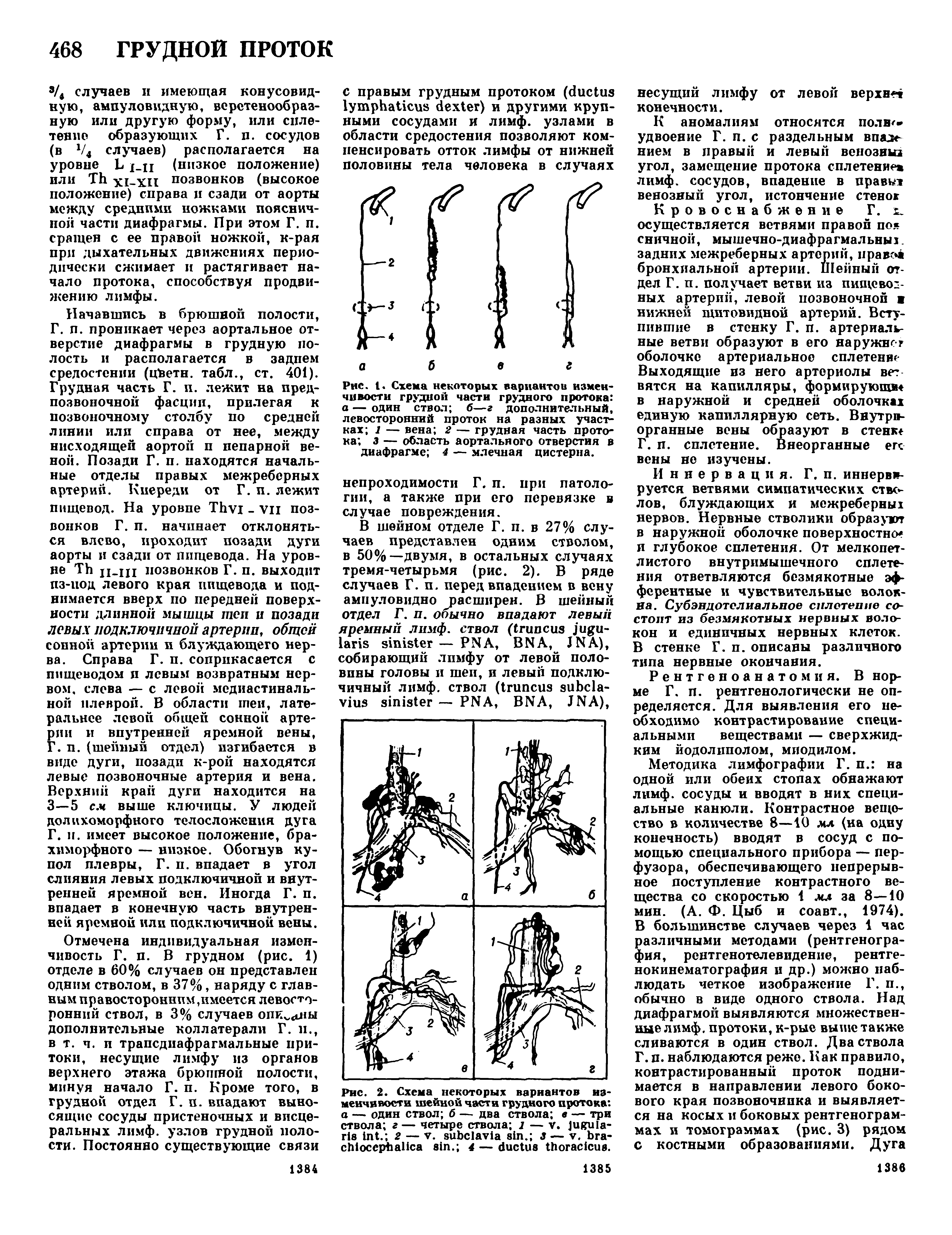 Рис. 1. Схема некоторых вариантой изменчивости грудной части грудного протока а — один ствол б—г дополнительный, левосторонний проток на разных участках 1 — вена 2 — грудная часть протока з — область аортального отверстия в диафрагме 4 — млечная цистерна.