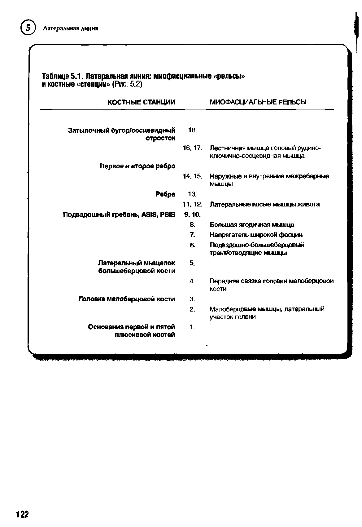 Таблица 5.1. Латеральная линия миофасциальные рельсы и костные стенции (Рис. 5.2)...