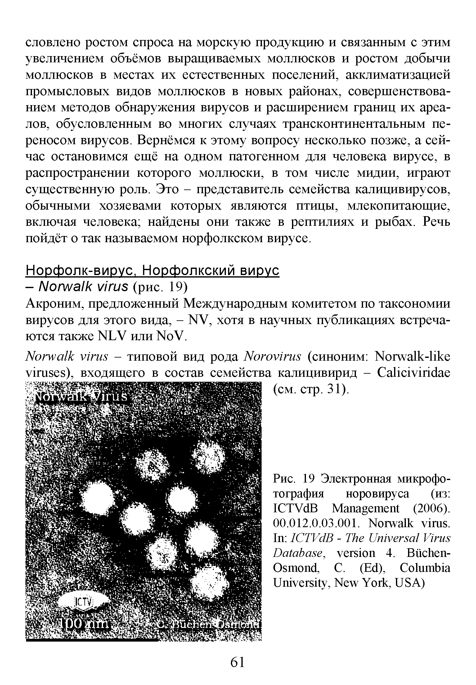 Рис. 19 Электронная микрофотография норовируса (из ICTV B M (2006). 00.012.0.03.001. N . I ICTV B - T U V D , 4. B -O , C. (E ), C U , N Y , USA)...