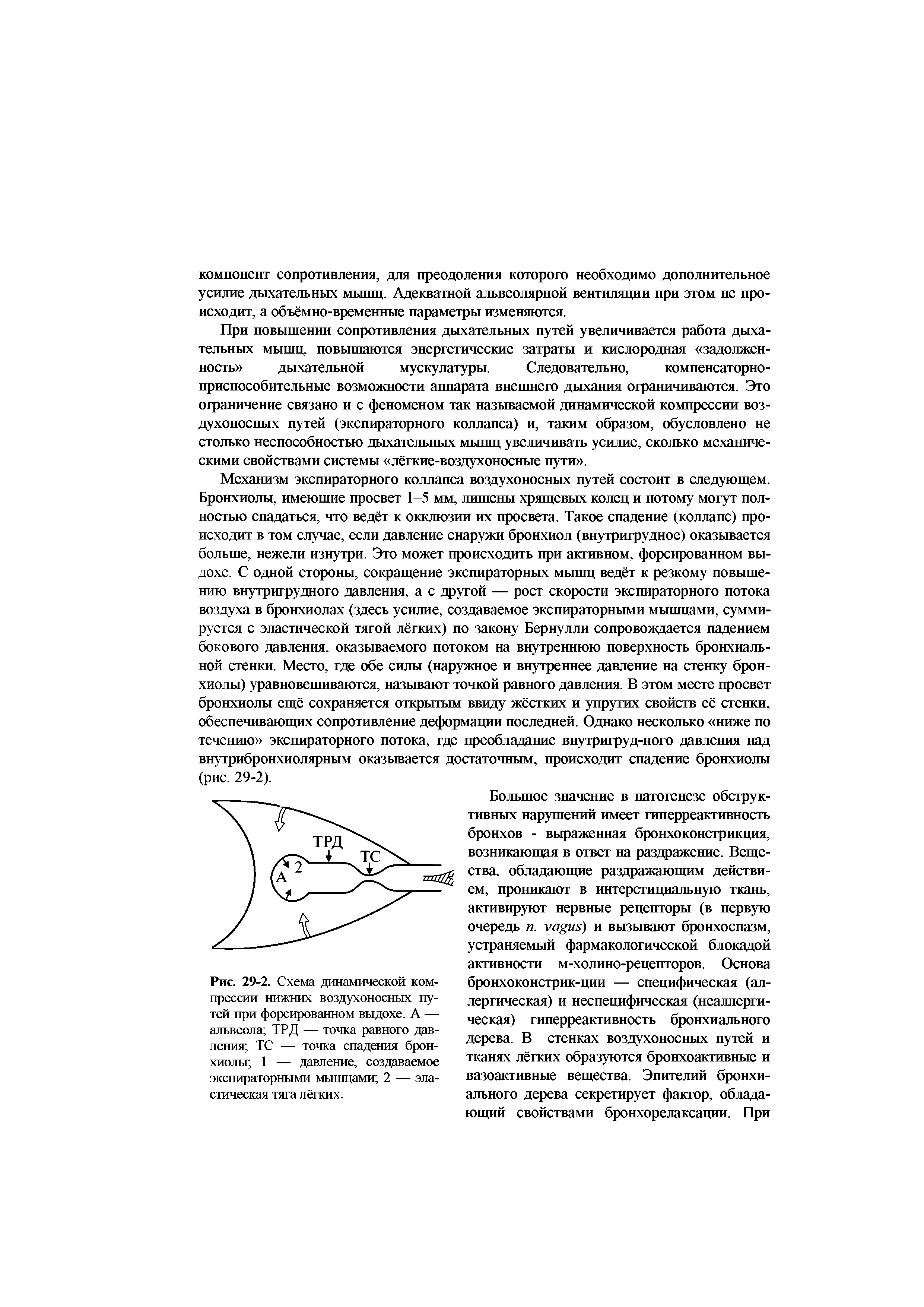 Рис. 29-2. Схема динамической компрессии нижних воздухоносных путей при форсированном выдохе. А — альвеола ТРД — точка равного давления ТС — точка спадения бронхиолы 1 — давление, создаваемое экспираторными мышцами 2 — эластическая тяга лёгких.