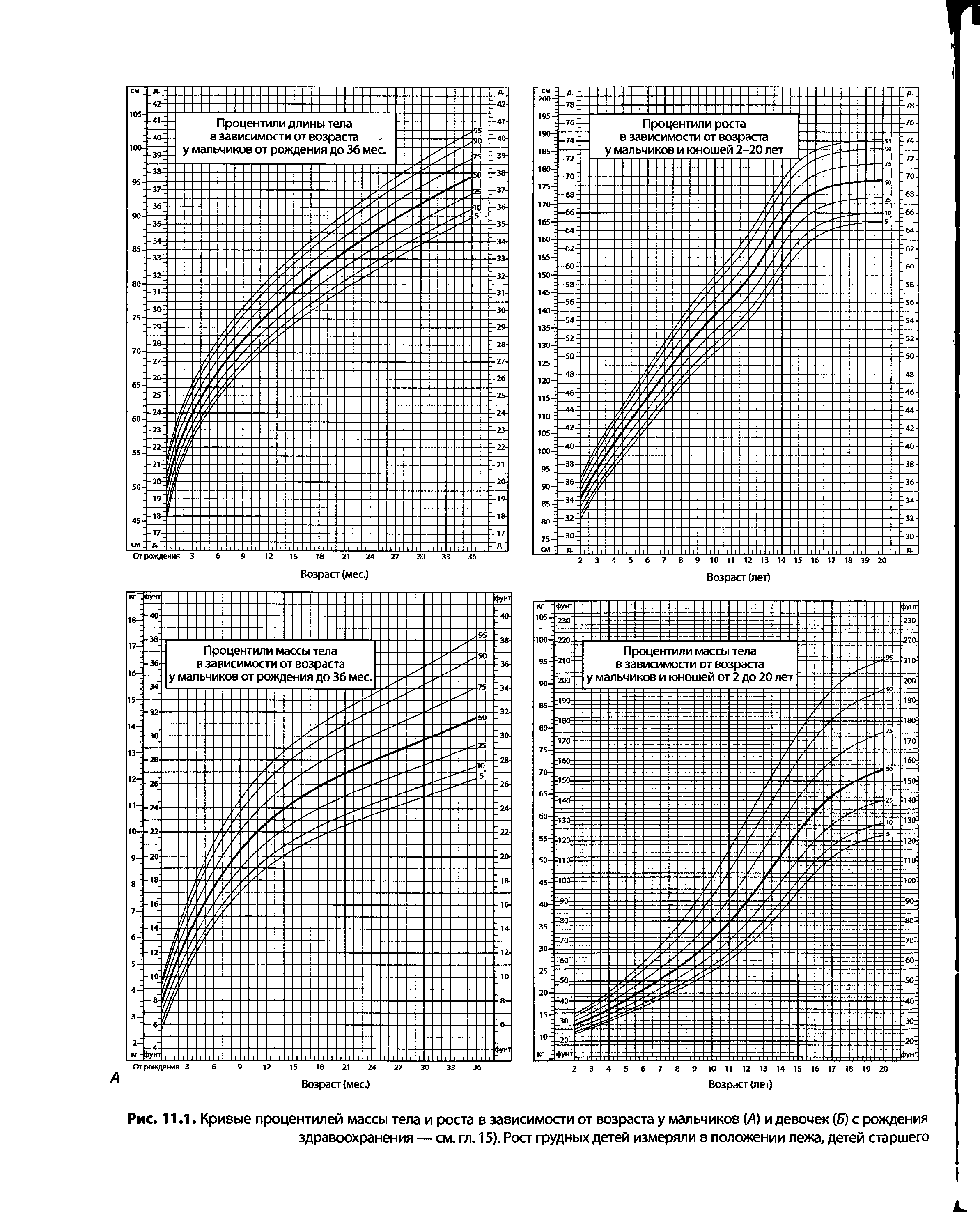 Рис. 11.1. Кривые процентилей массы тела и роста в зависимости от возраста у мальчиков (Л) и девочек (Б) с рождения здравоохранения — см. гл. 15). Рост грудных детей измеряли в положении лежа, детей старшего...