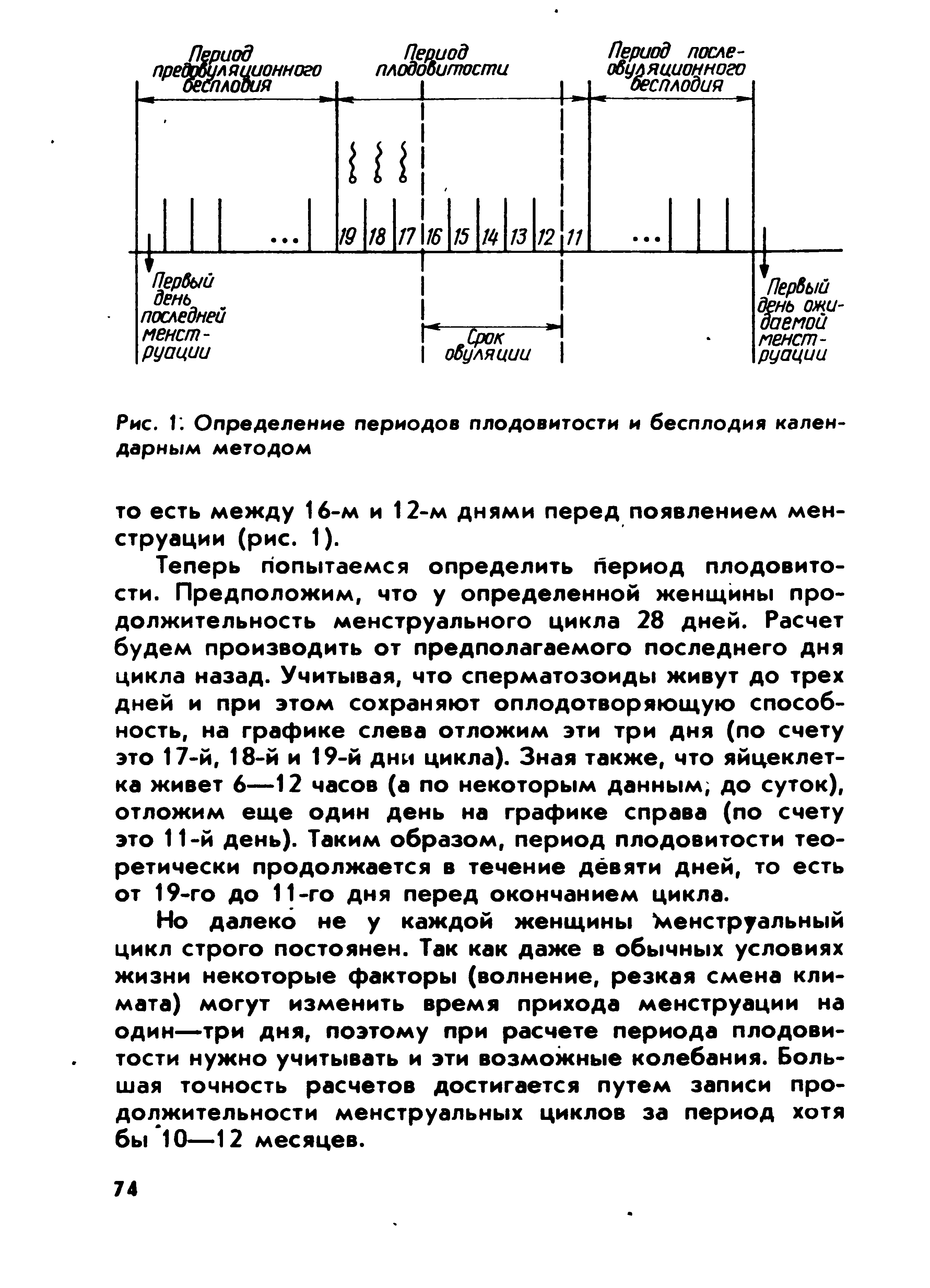 Рис. Г. Определение периодов плодовитости и бесплодия календарным методом...