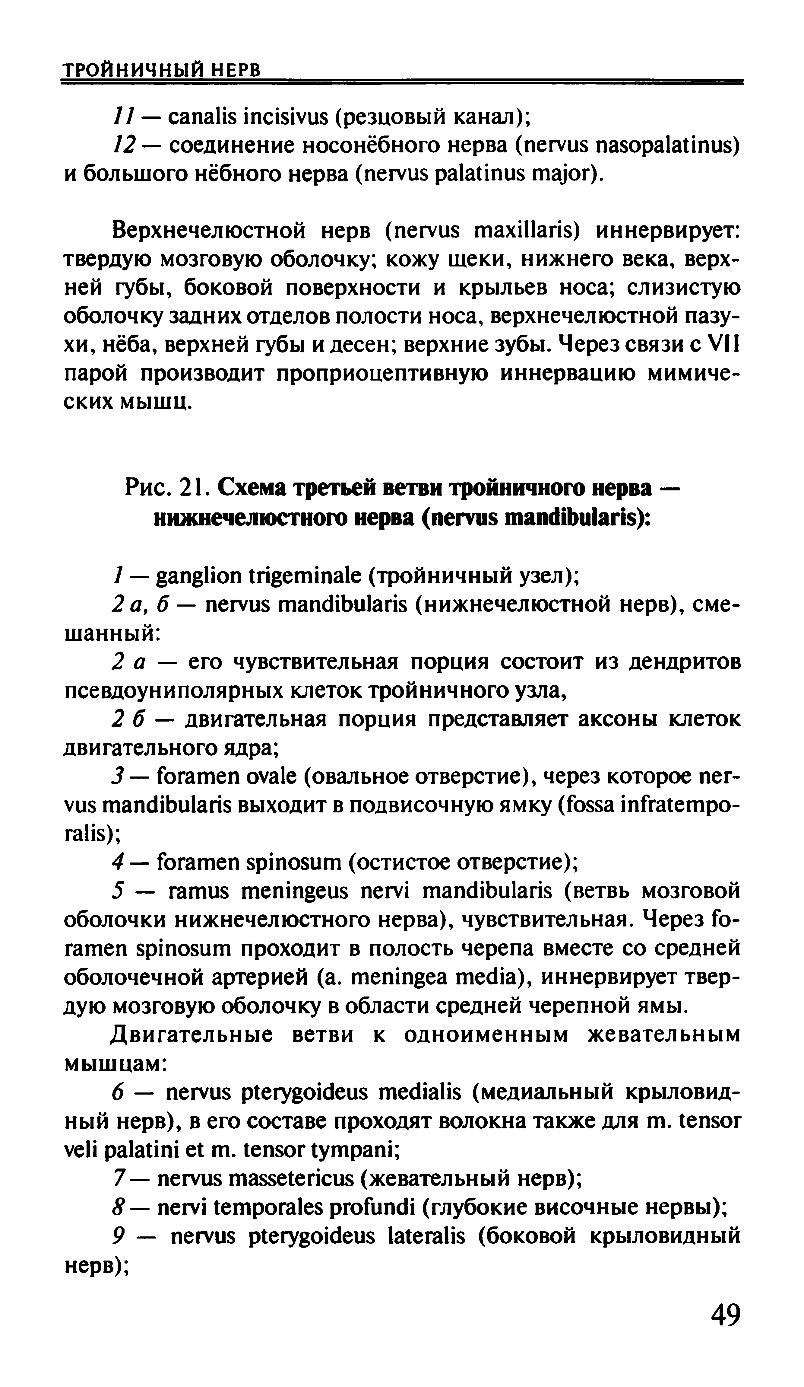 Рис. 21. Схема третьей ветви тройничного нерва — нижнечелюстного нерва ( ) ...