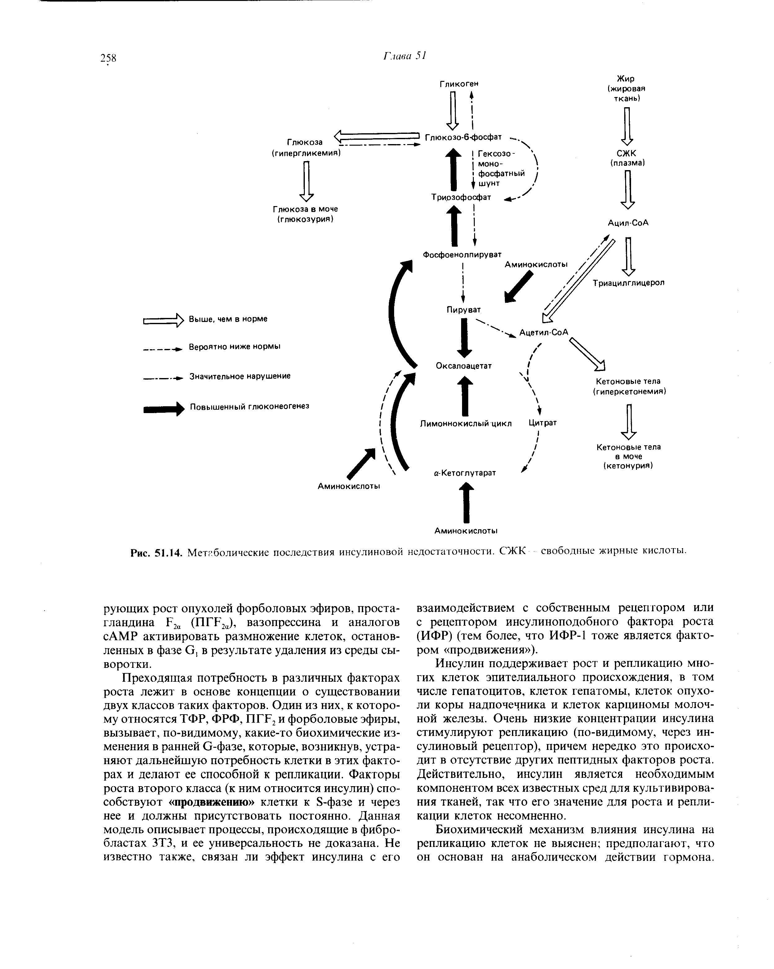 Рис. 51.14. Метаболические последствия инсулиновой недостаточности. СЖК свободные жирные кислоты.